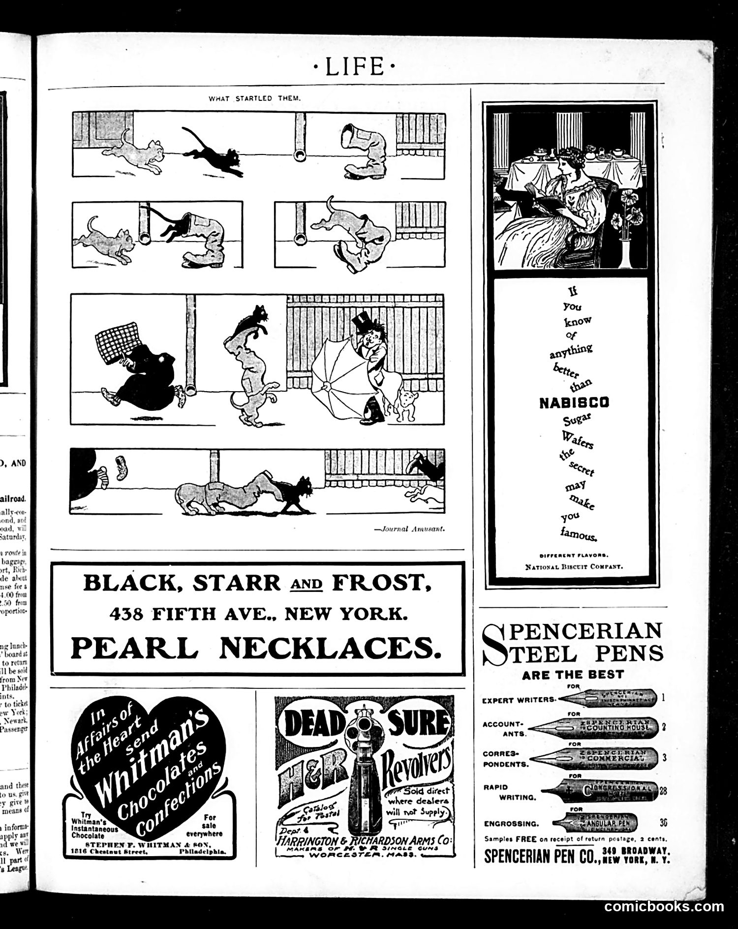 Life — February 20, 1902 — page 19 of 20