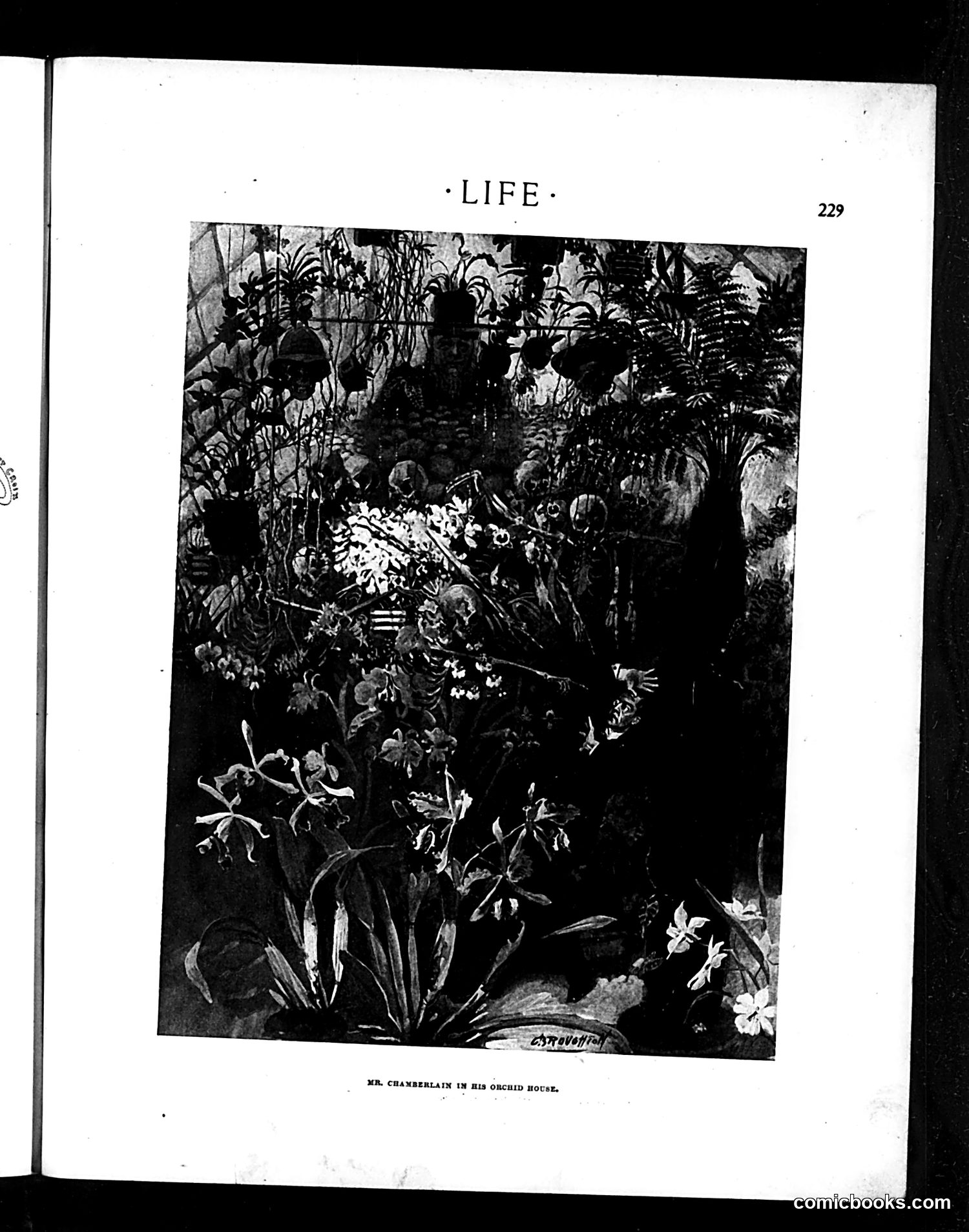 Life — March 20, 1902 — page 7 of 20