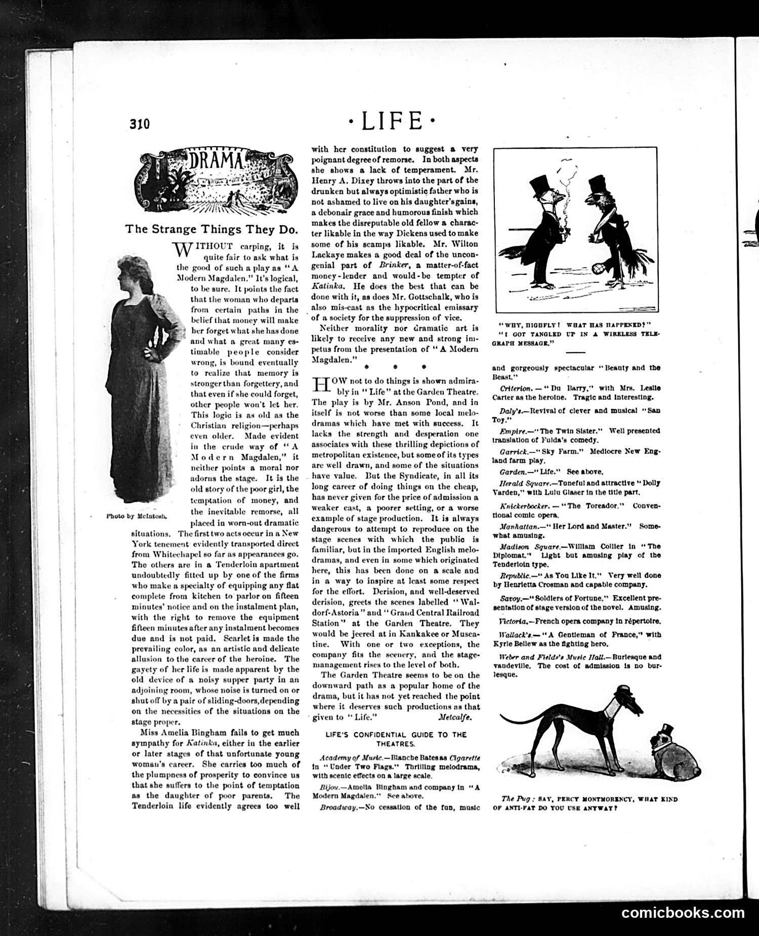 Life — April 10, 1902 — page 12 of 20