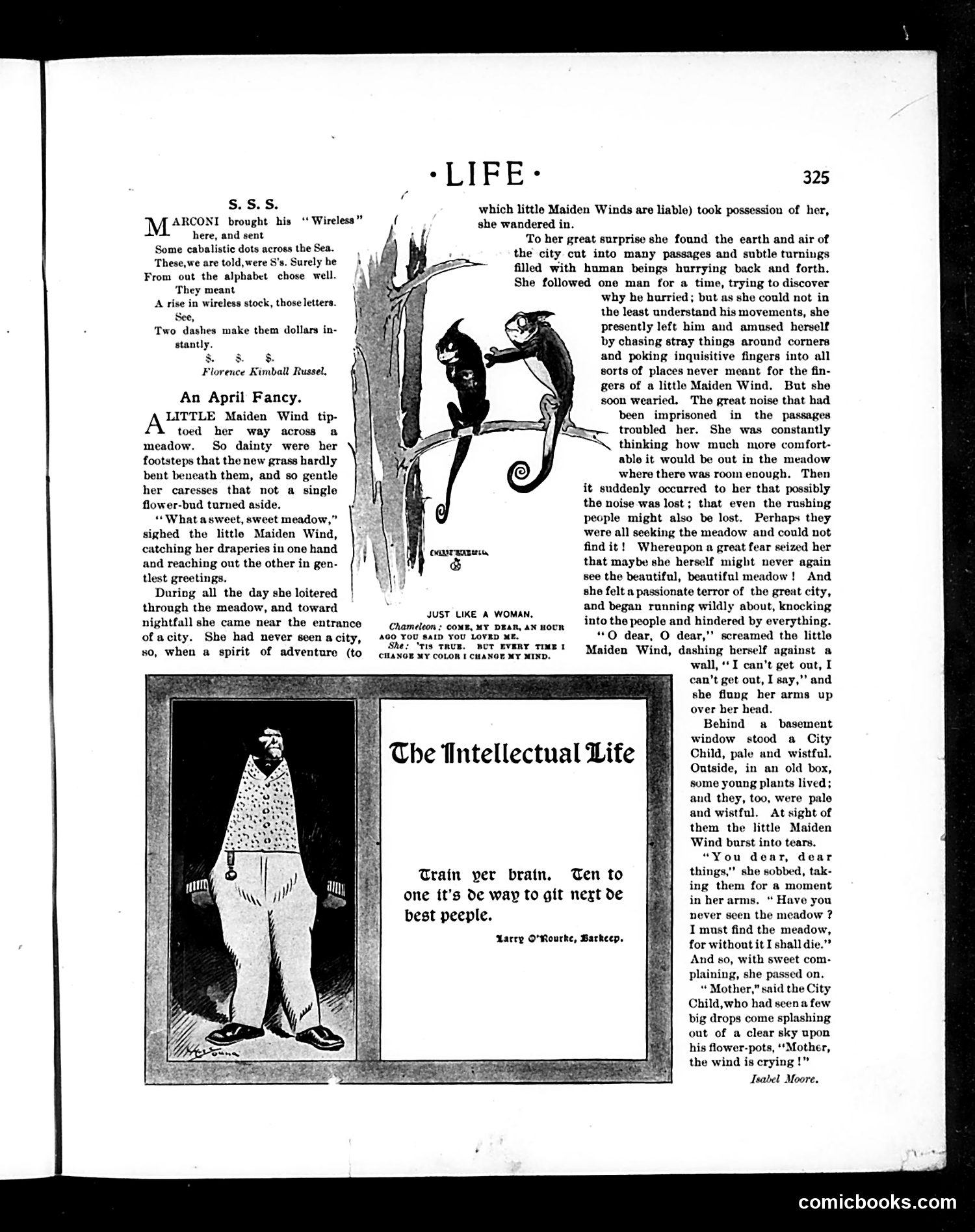 Life — April 17, 1902 — page 7 of 22