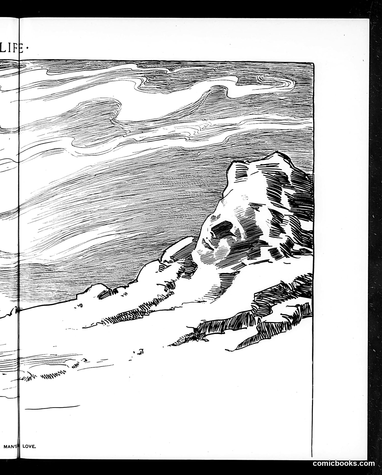 Life — May 8, 1902 — page 17 of 32