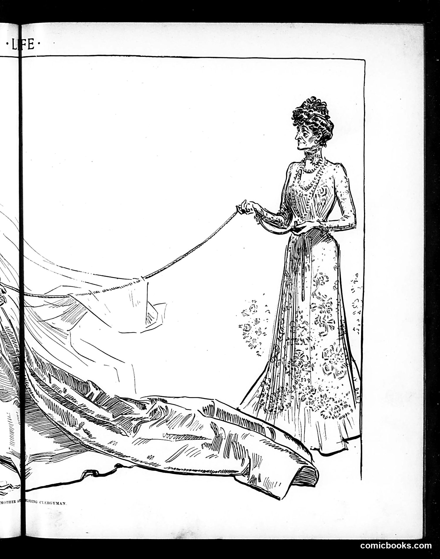 Life — June 5, 1902 — page 11 of 22