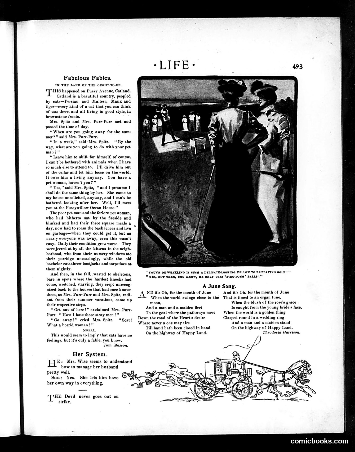 Life — June 5, 1902 — page 15 of 22