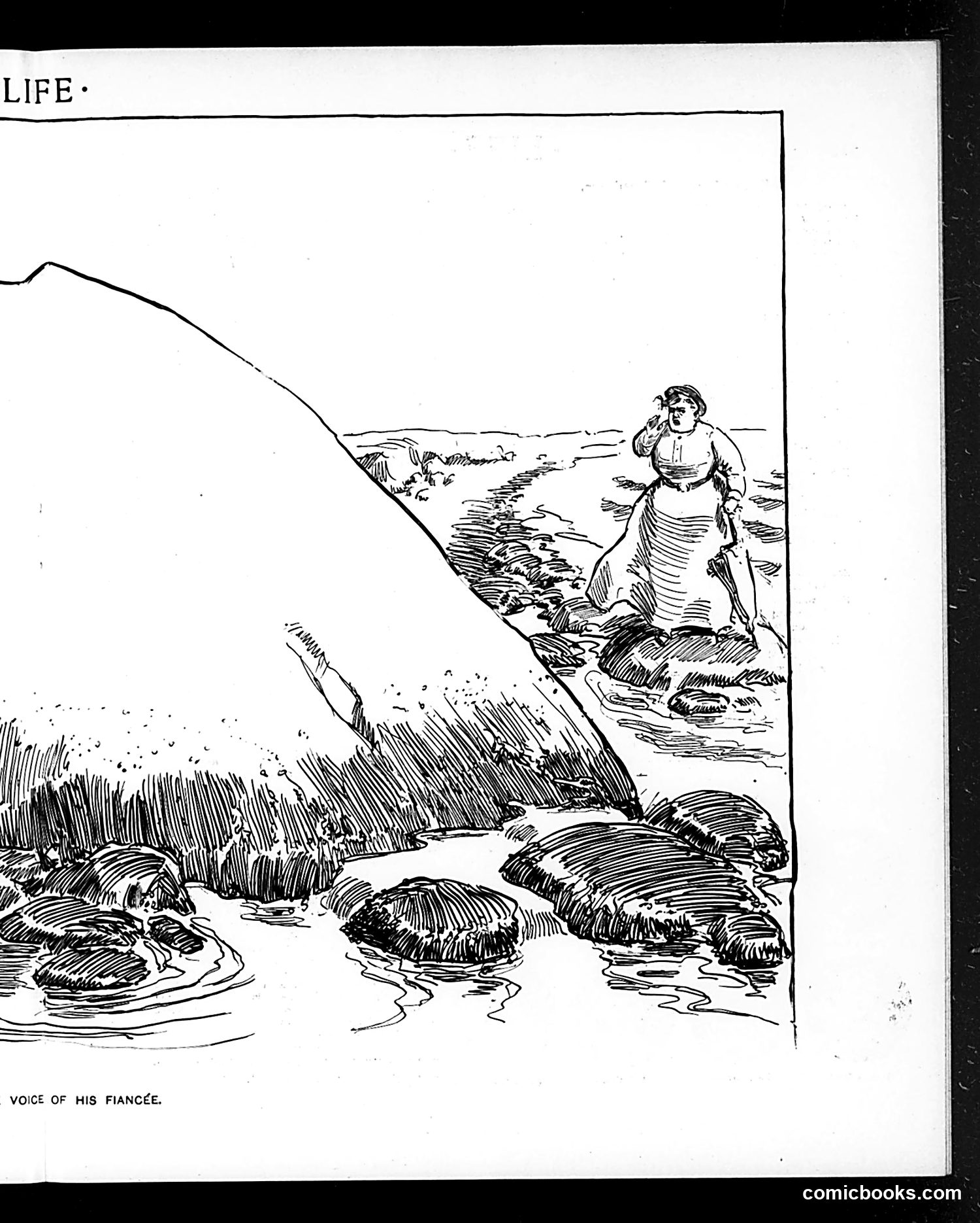 Life — June 12, 1902 — page 11 of 20