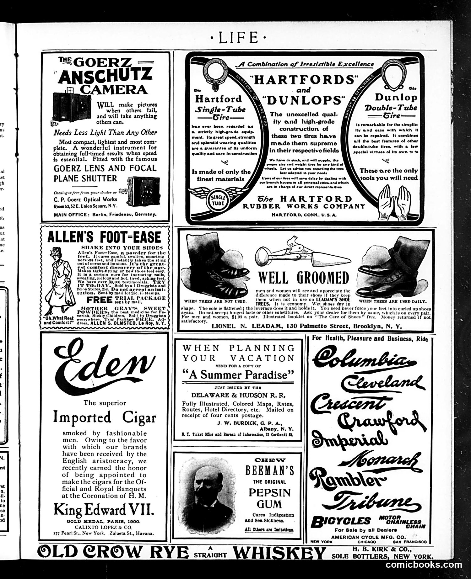 Life — June 19, 1902 — page 17 of 20