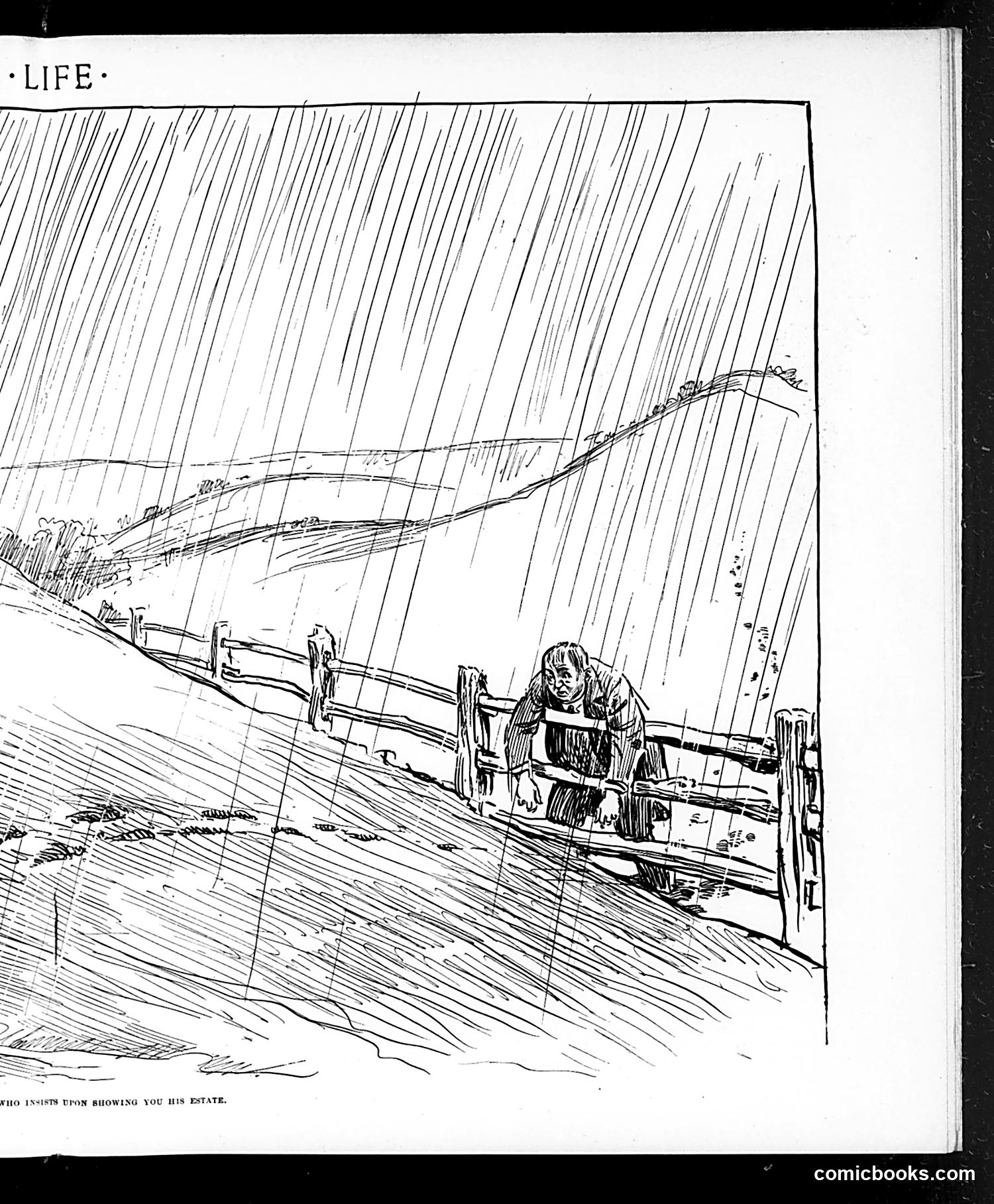 Life — June 26, 1902 — page 11 of 31