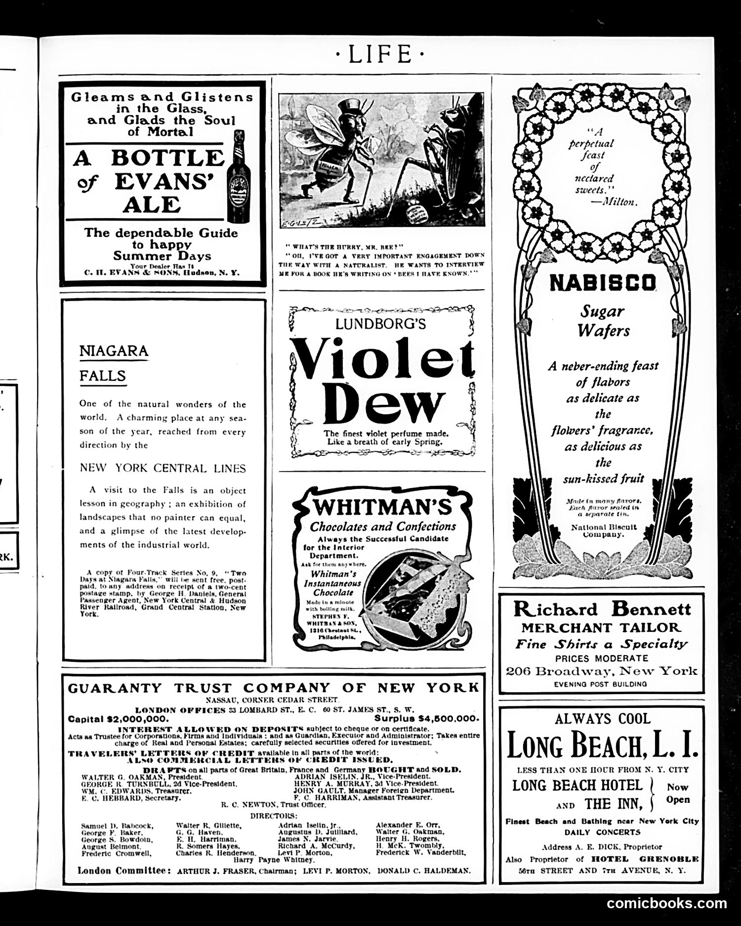 Life — July 10, 1902 — page 17 of 18