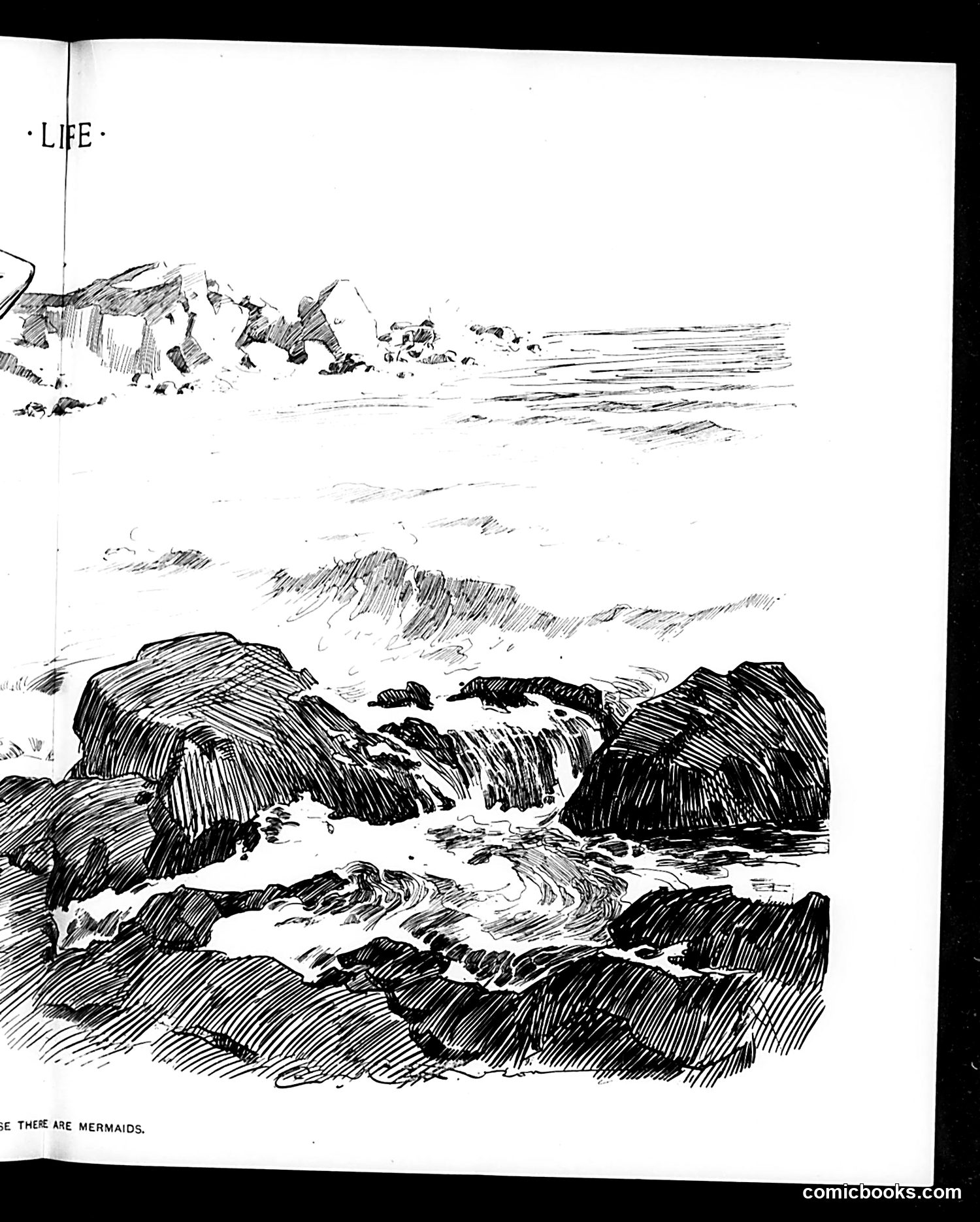 Life — July 17, 1902 — page 11 of 20