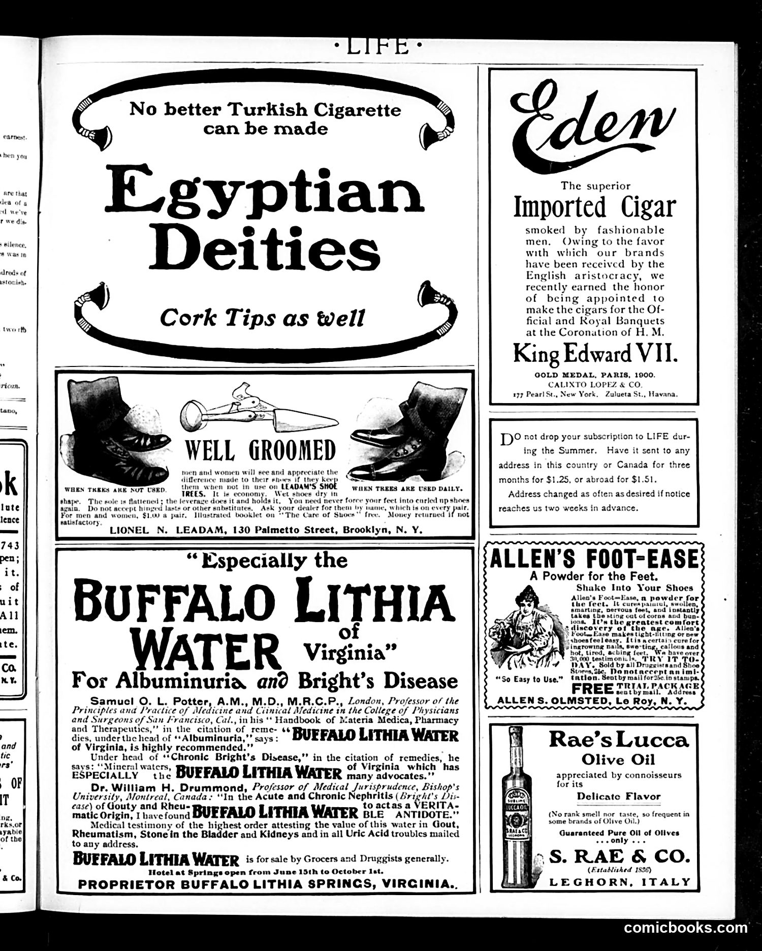 Life — July 17, 1902 — page 17 of 20
