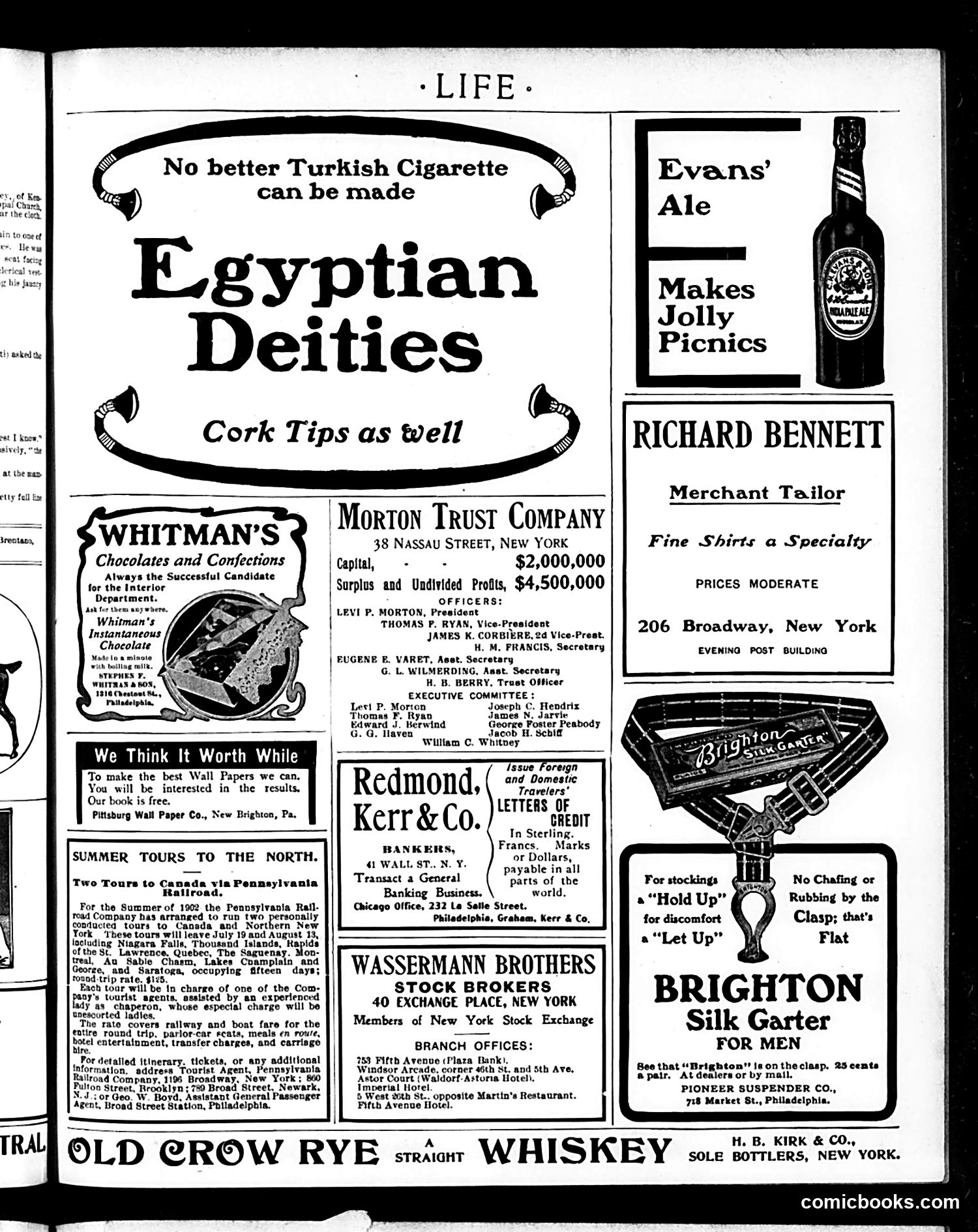 Life — July 24, 1902 — page 17 of 20