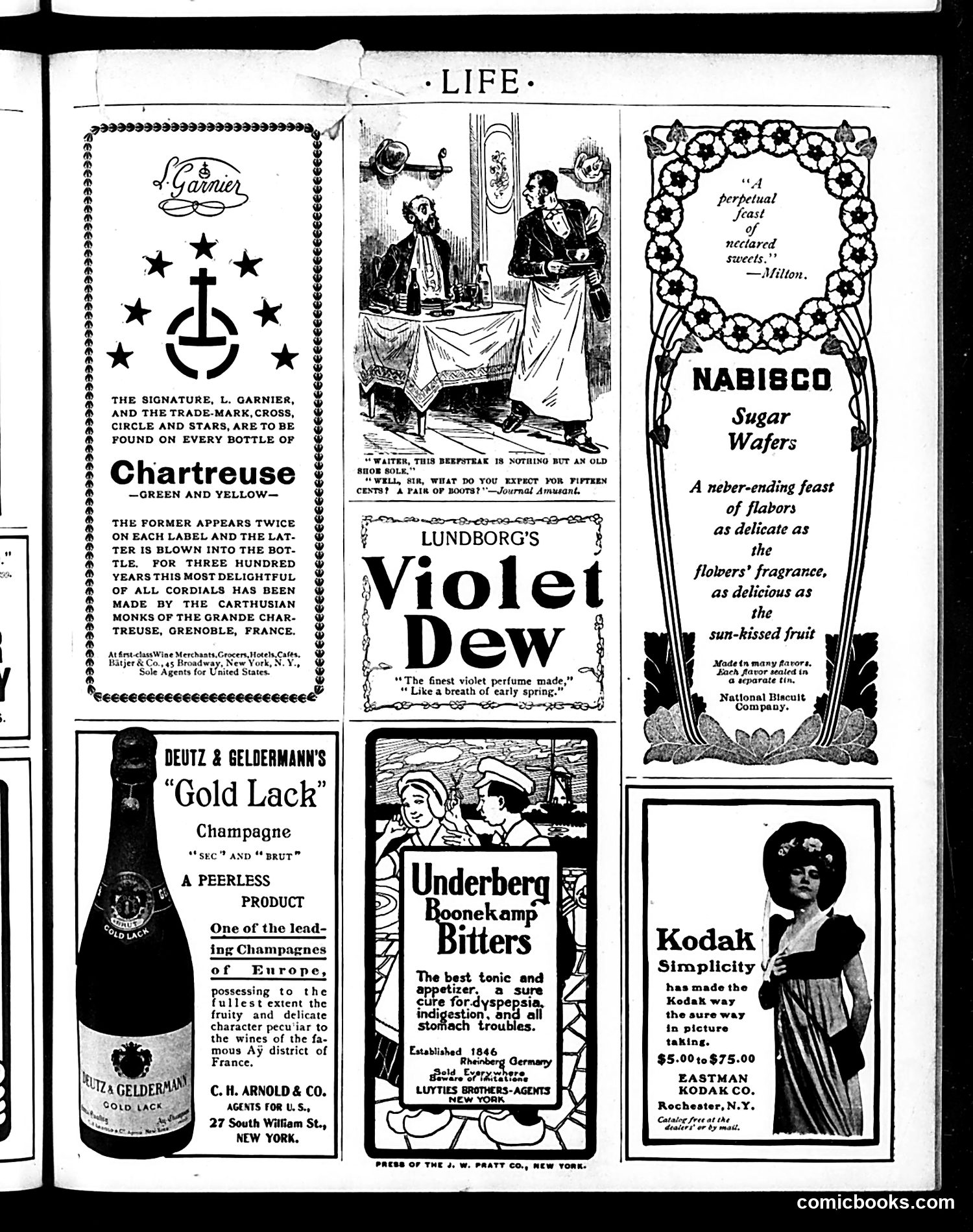 Life — July 24, 1902 — page 19 of 20