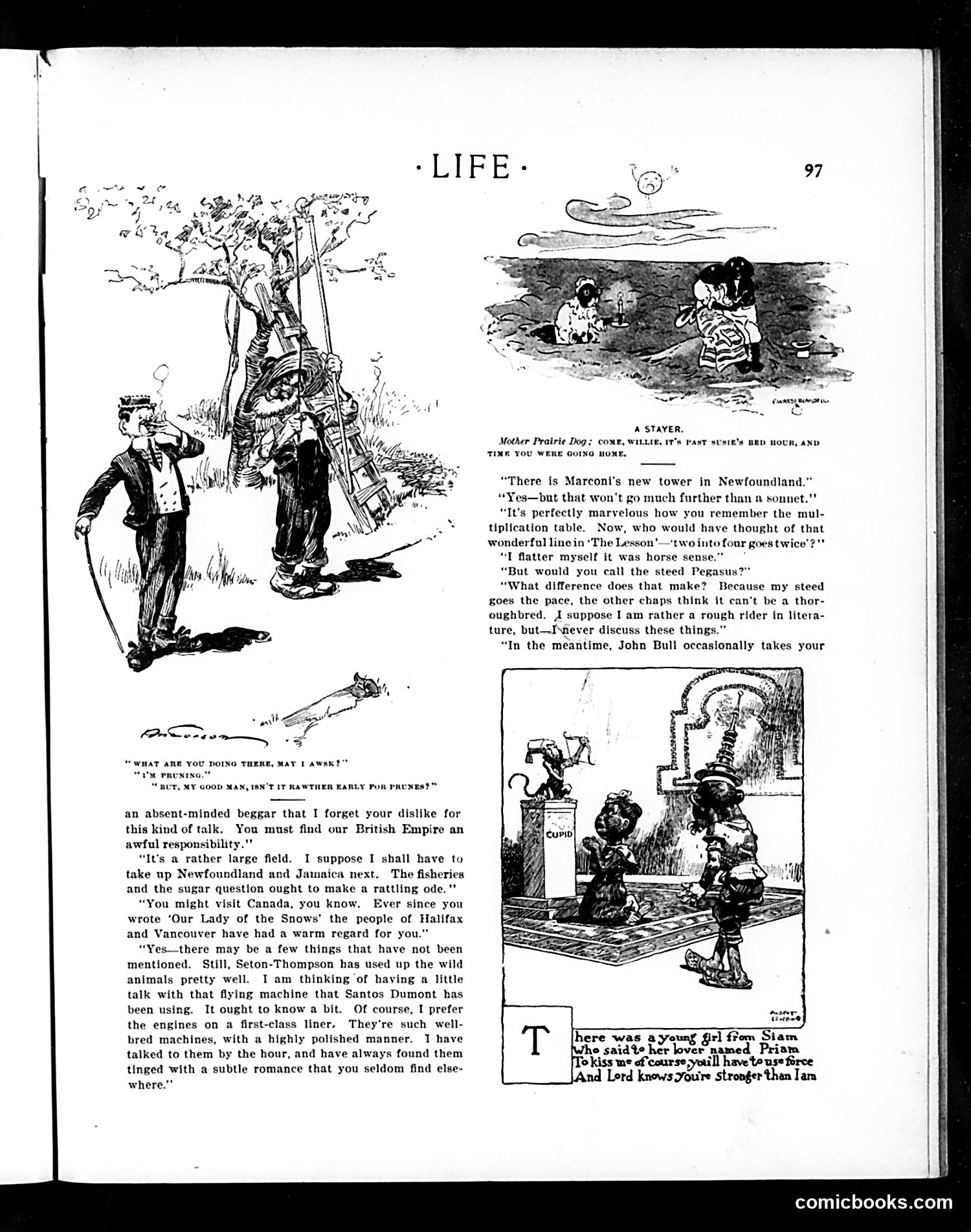 Life — July 31, 1902 — page 13 of 20