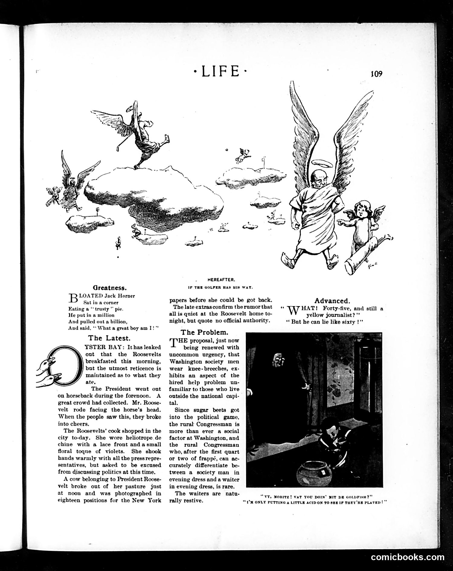Life — August 7, 1902 — page 5 of 22