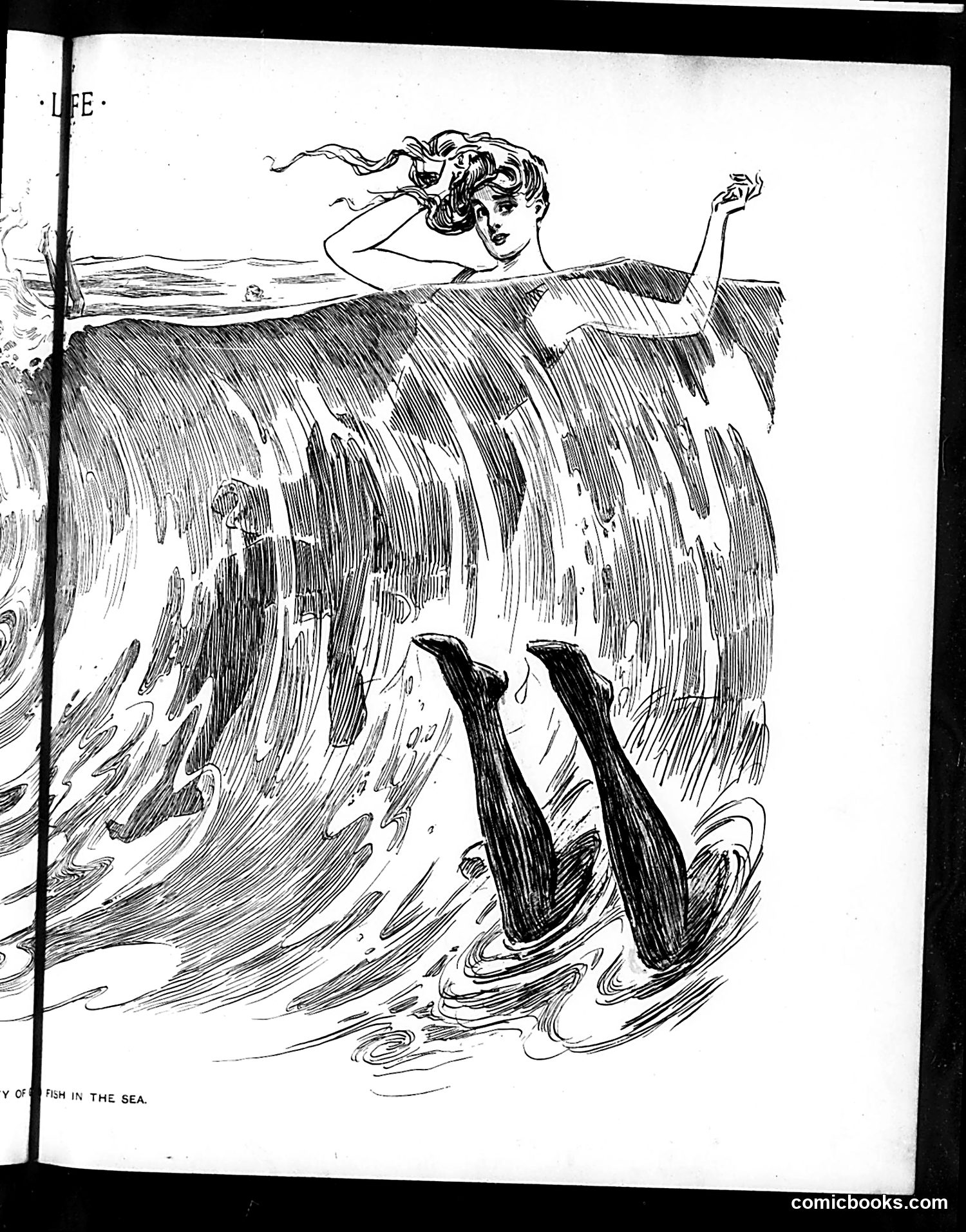 Life — August 7, 1902 — page 11 of 22