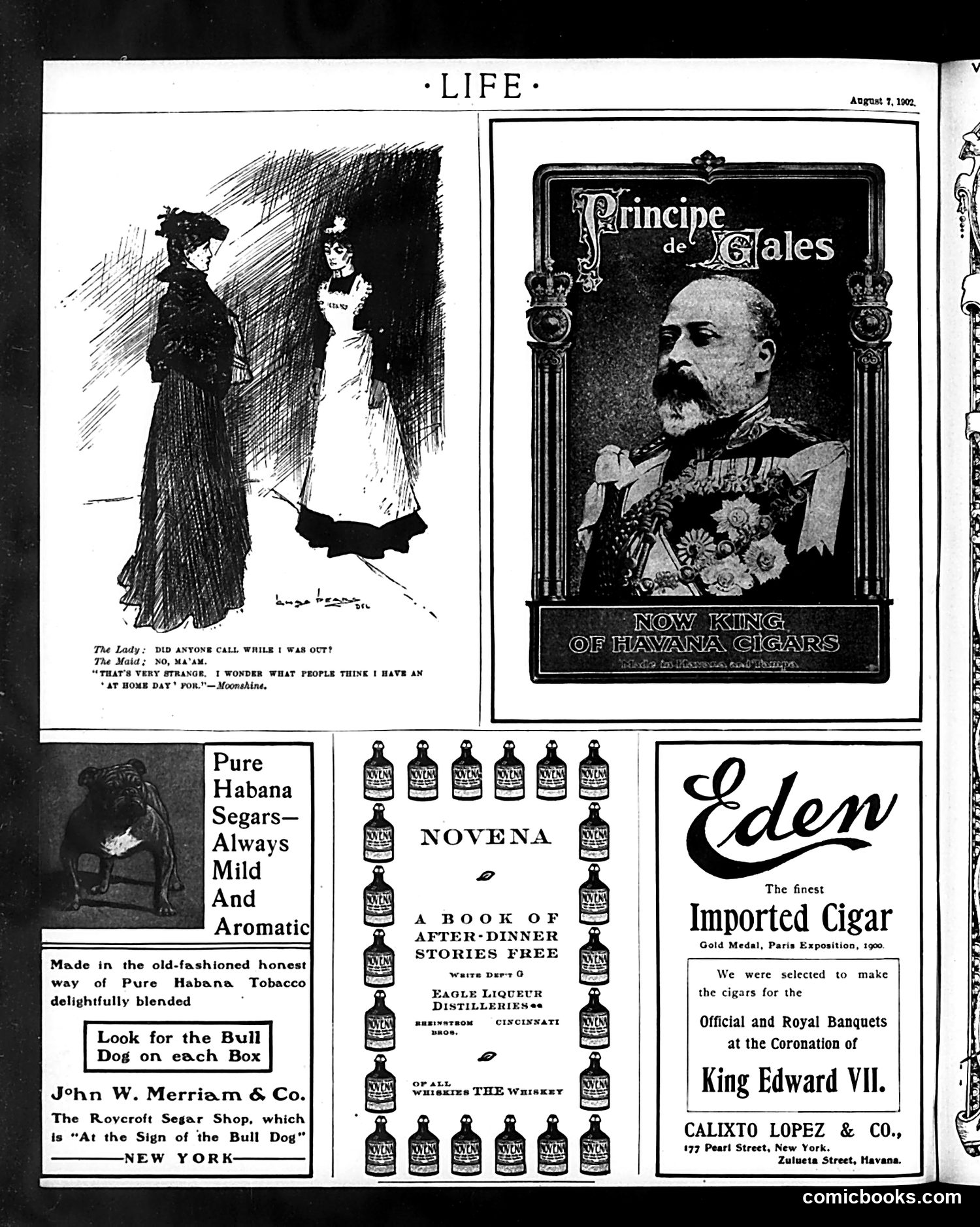 Life — August 7, 1902 — page 22 of 22