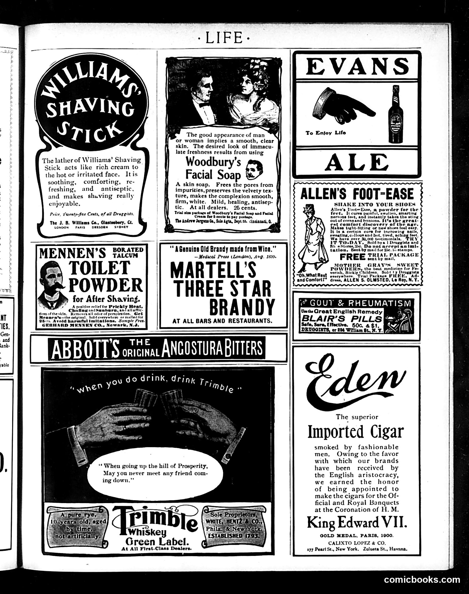Life — August 14, 1902 — page 19 of 20