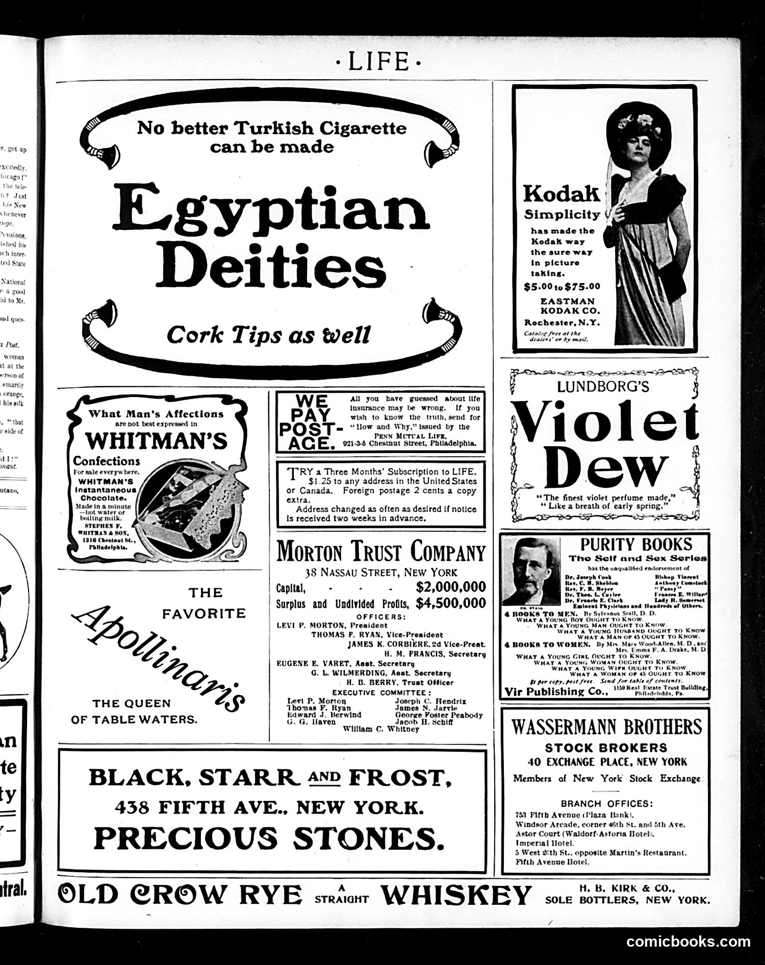 Life — August 21, 1902 — page 17 of 20