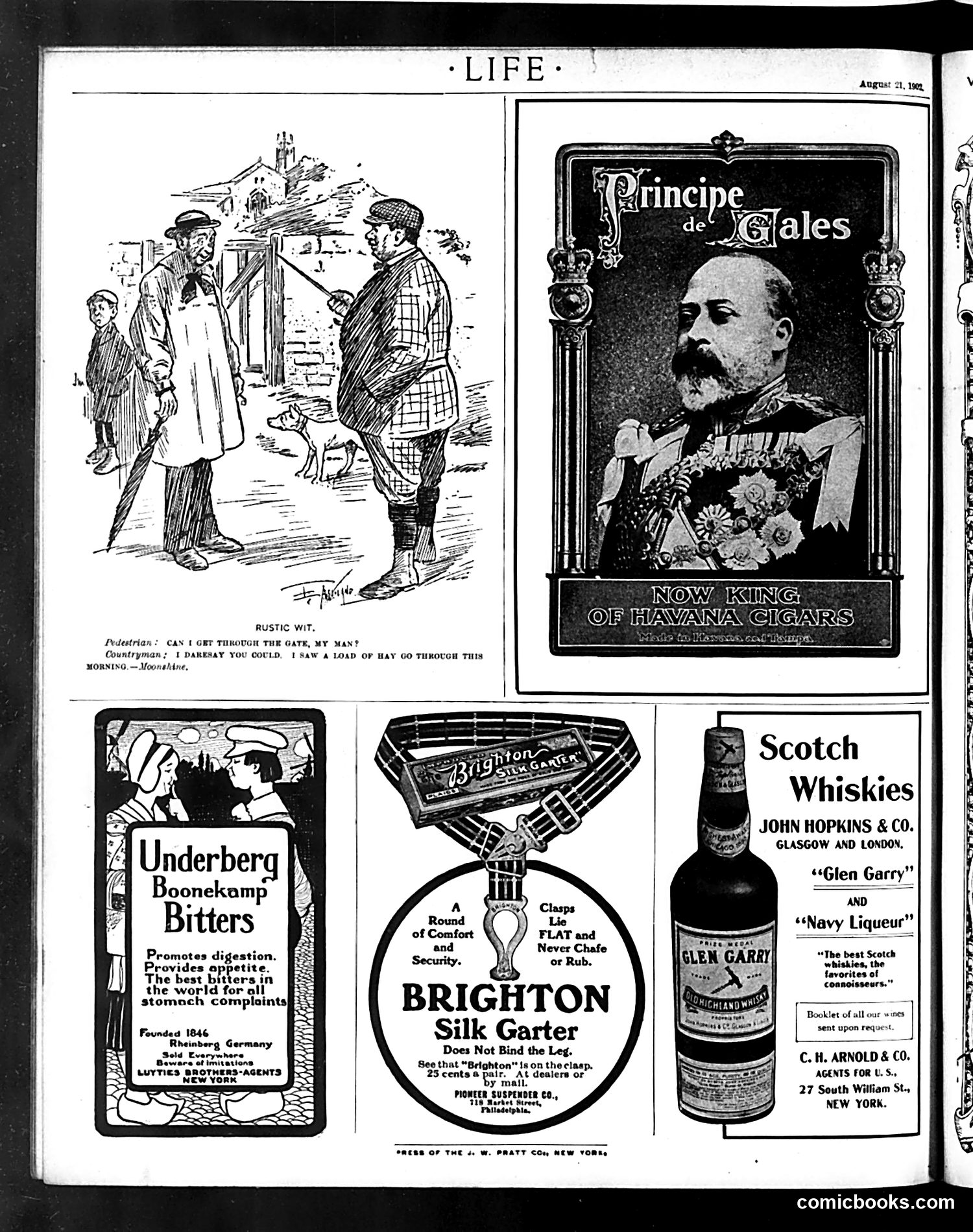 Life — August 21, 1902 — page 20 of 20