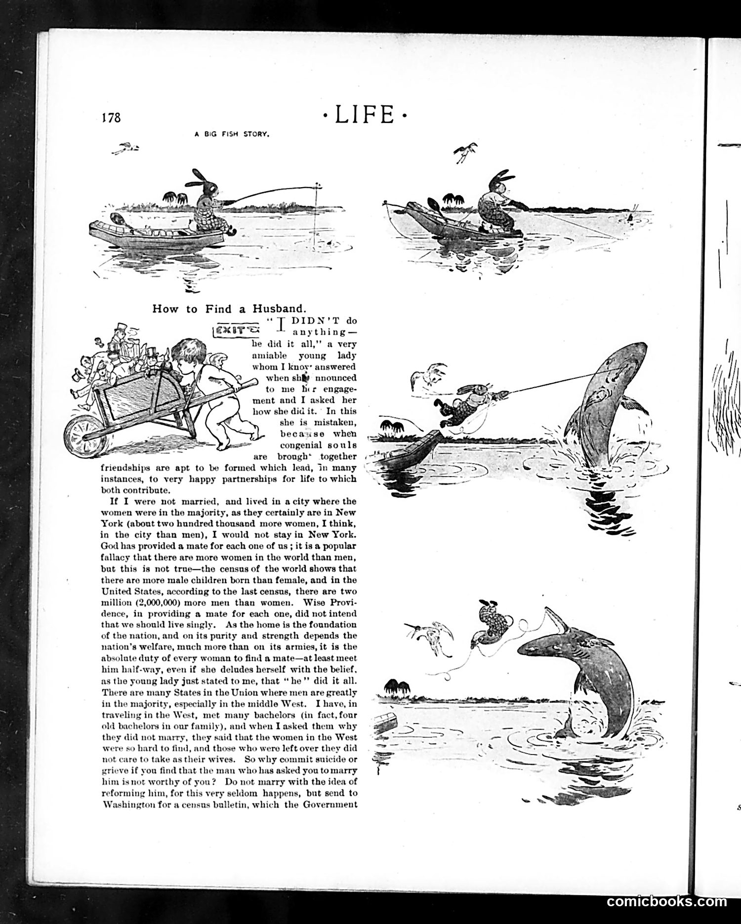 Life — August 28, 1902 — page 12 of 20