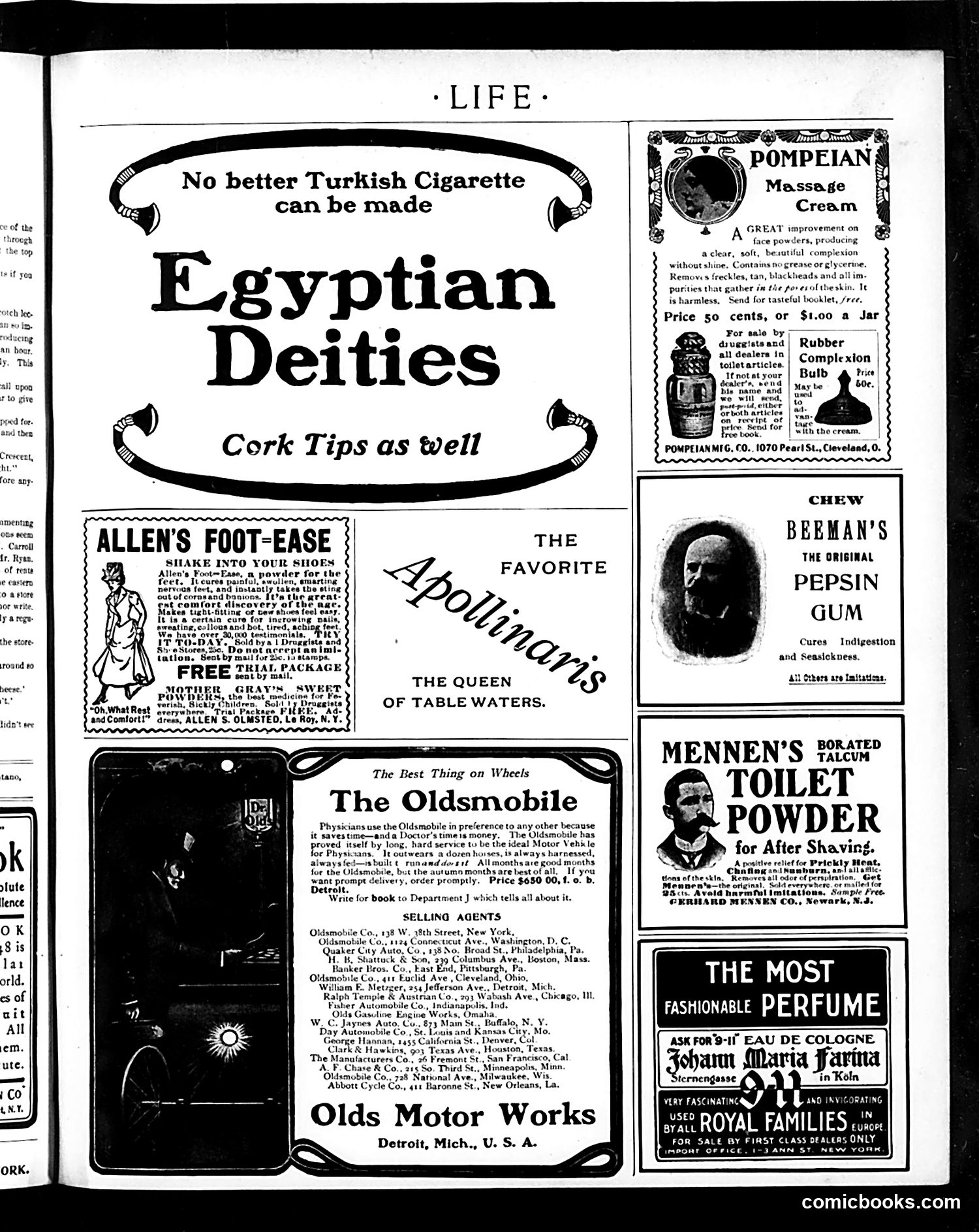 Life — August 28, 1902 — page 17 of 20