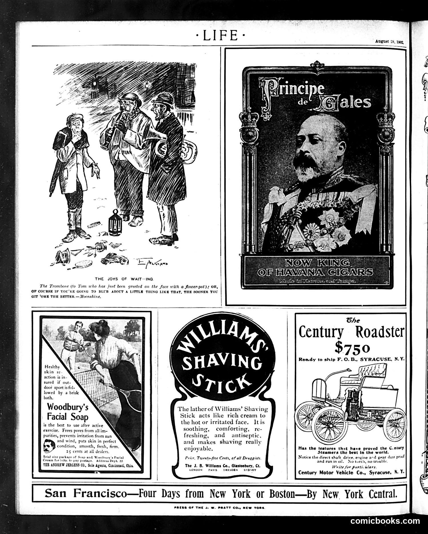 Life — August 28, 1902 — page 20 of 20