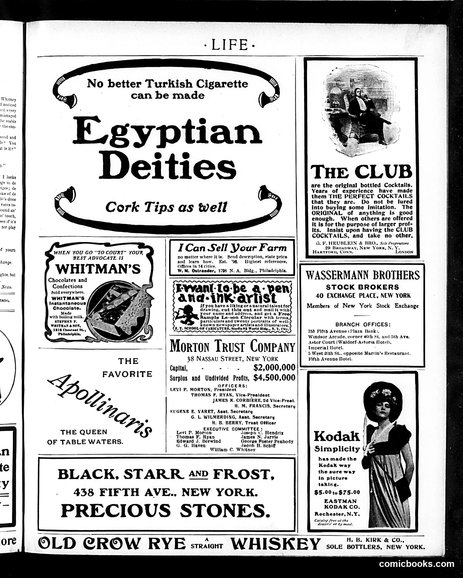 Life — September 4, 1902 — page 17 of 22