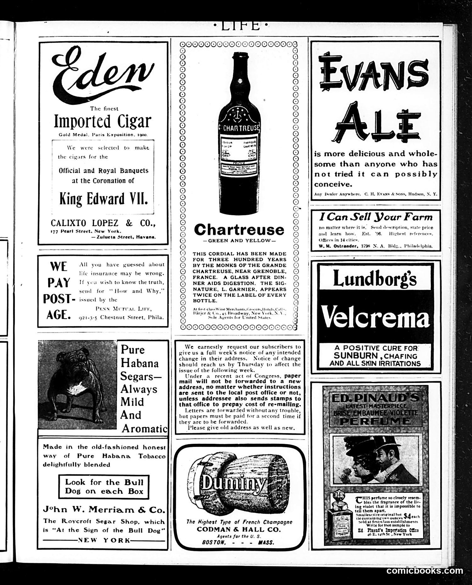 Life — September 18, 1902 — page 19 of 22