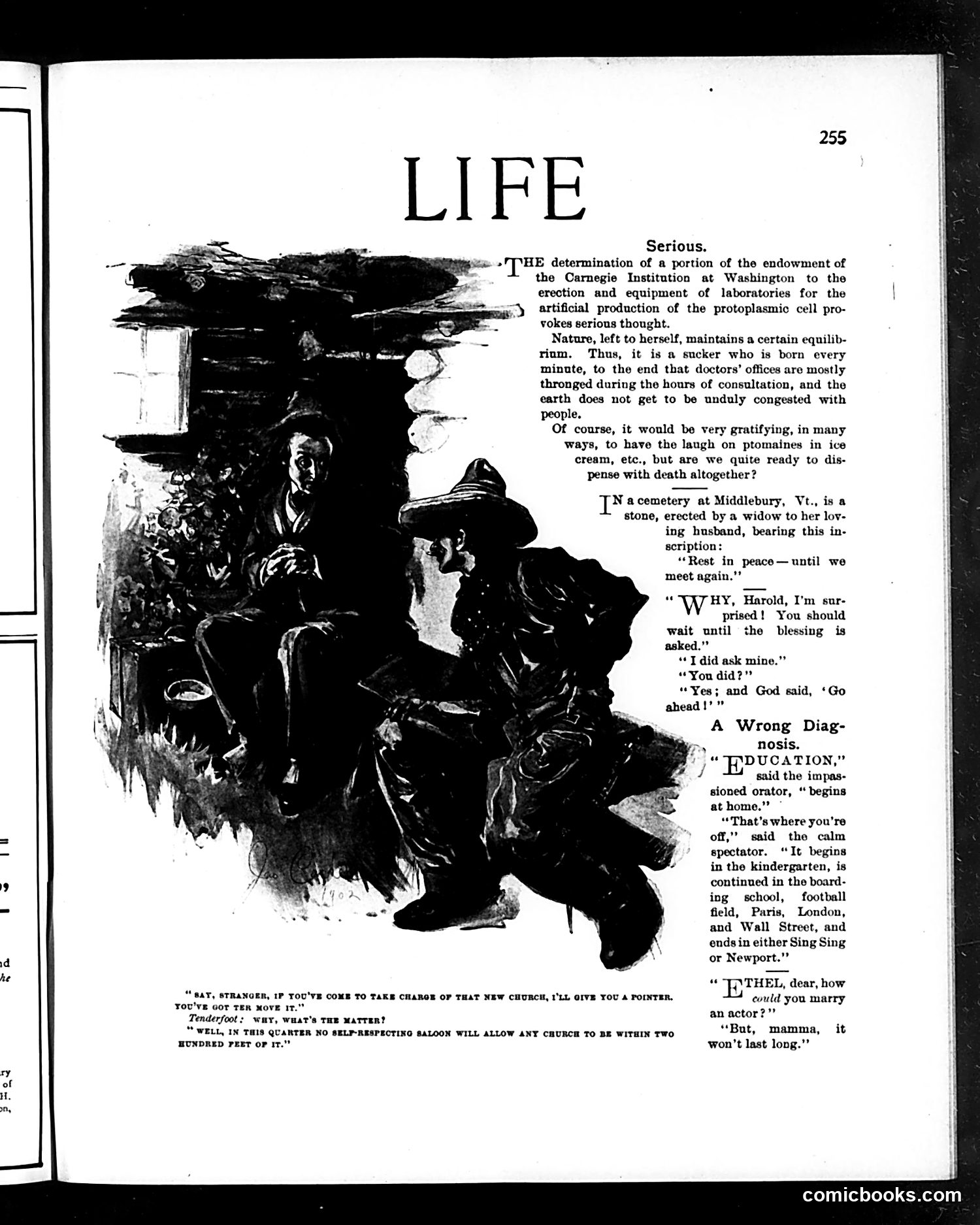 Life — September 25, 1902 — page 3 of 22
