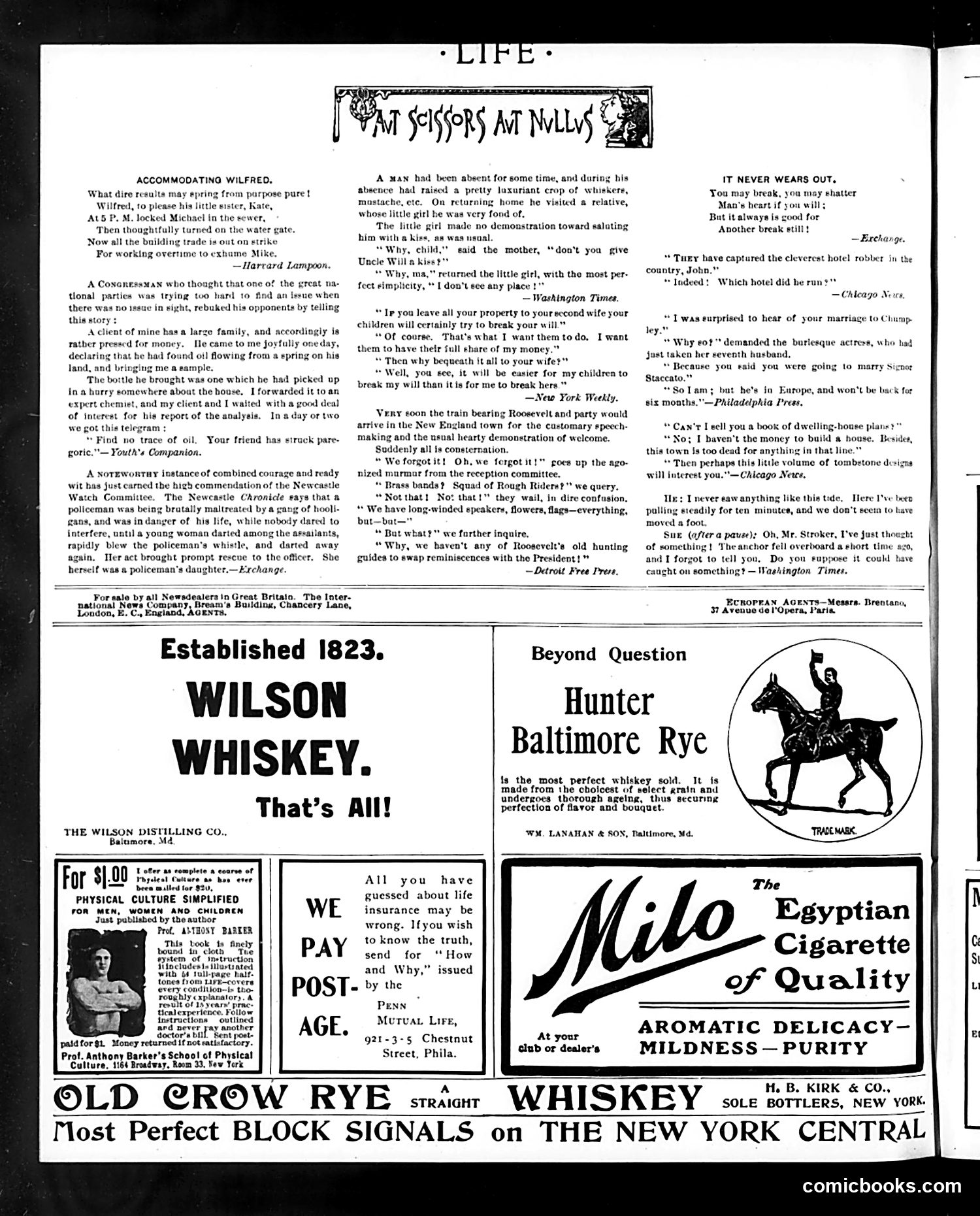 Life — October 2, 1902 — page 16 of 22
