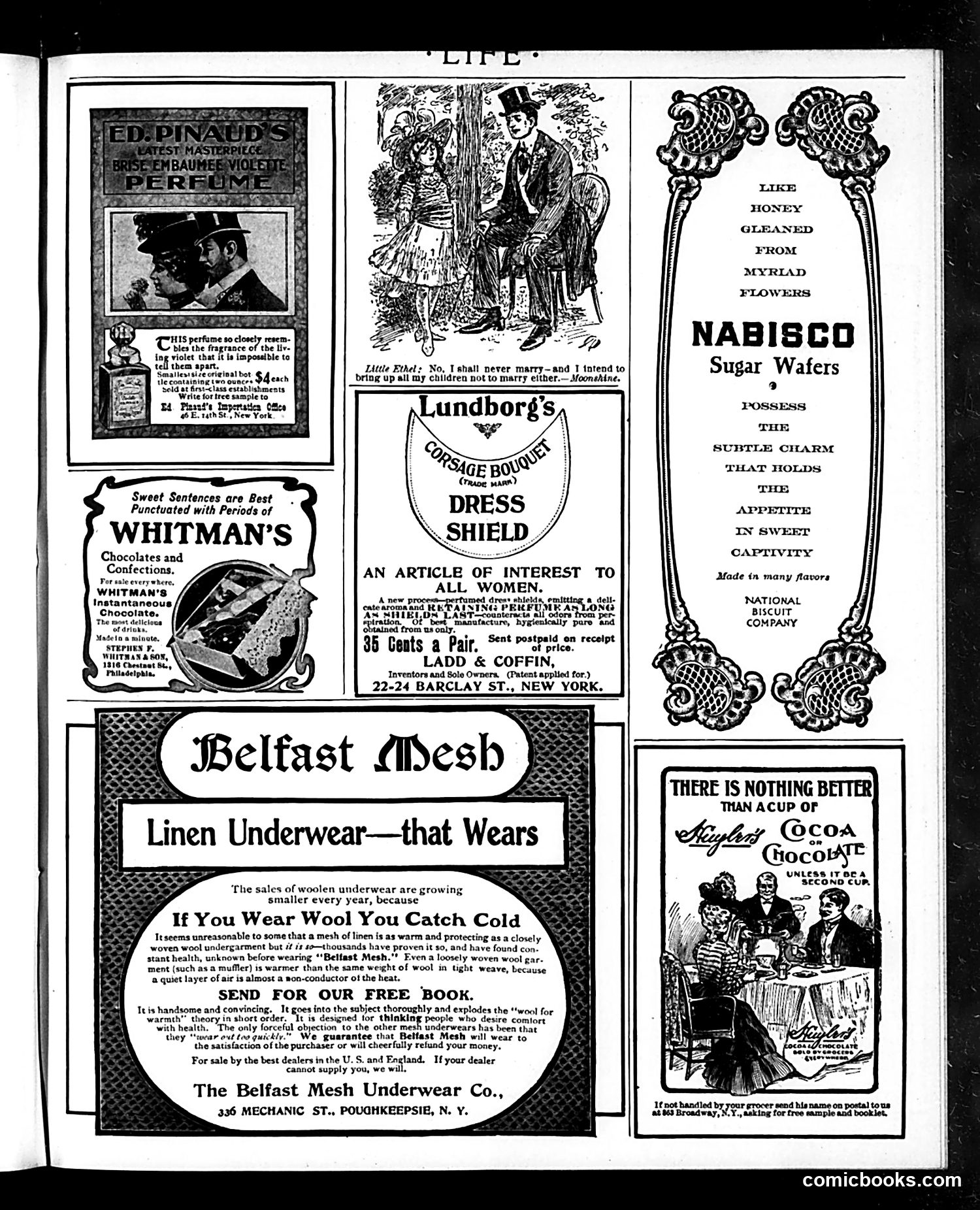 Life — October 2, 1902 — page 21 of 22