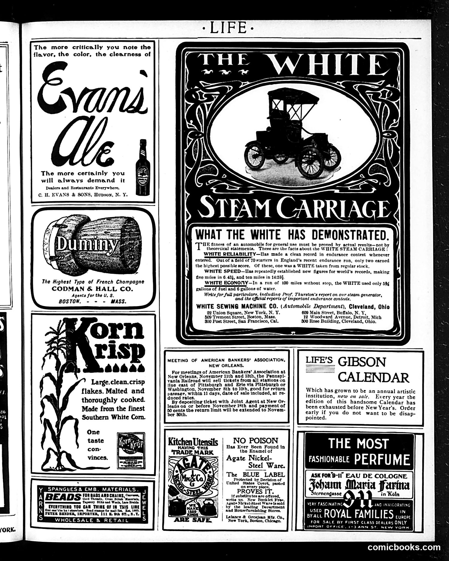 Life — October 23, 1902 — page 21 of 22