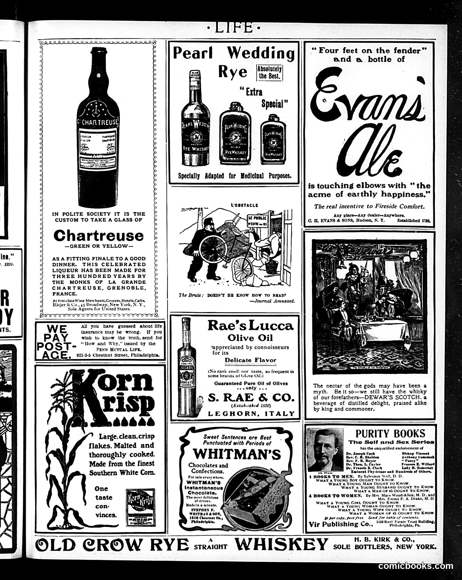 Life — October 30, 1902 — page 19 of 22