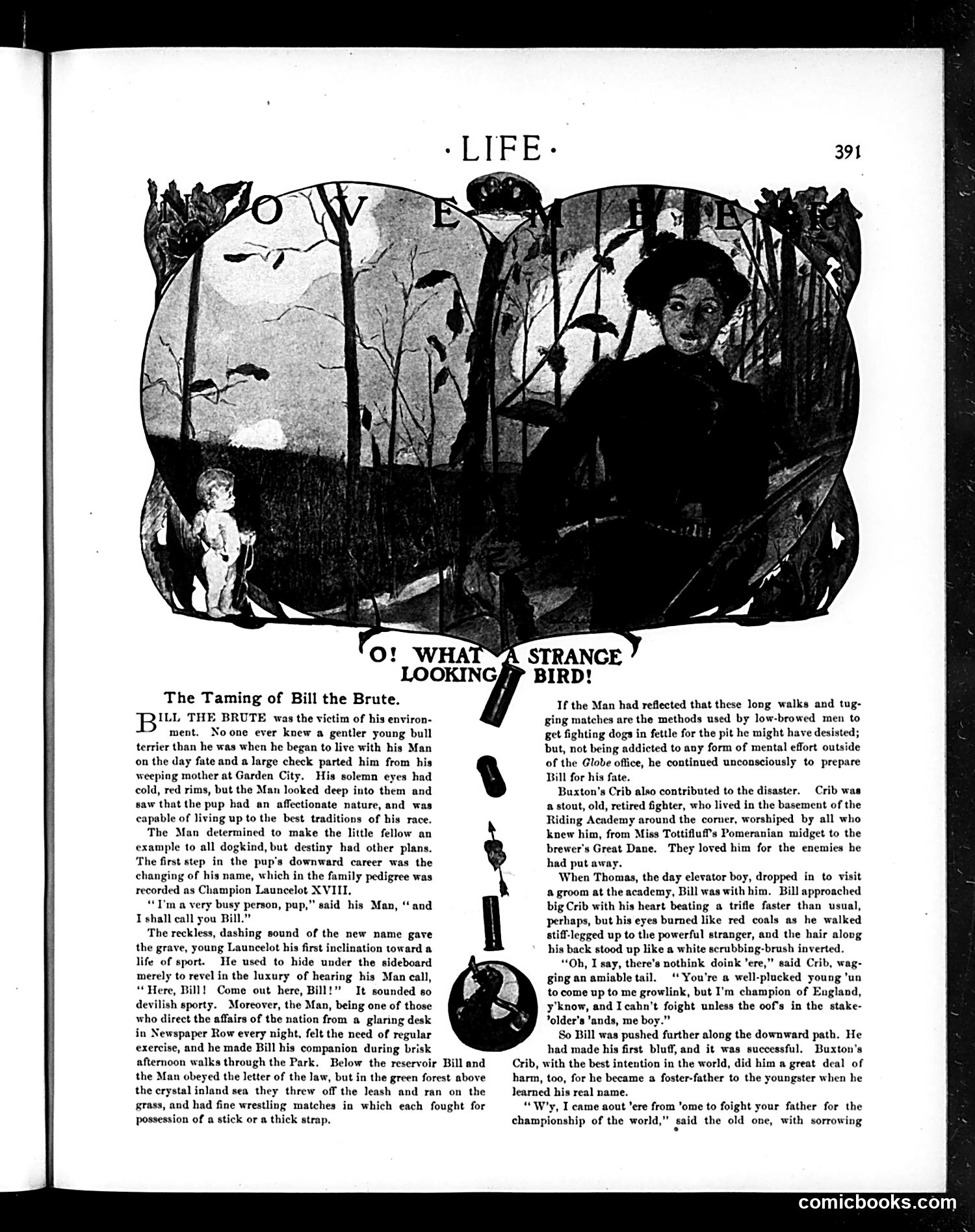 Life — November 6, 1902 — page 7 of 24