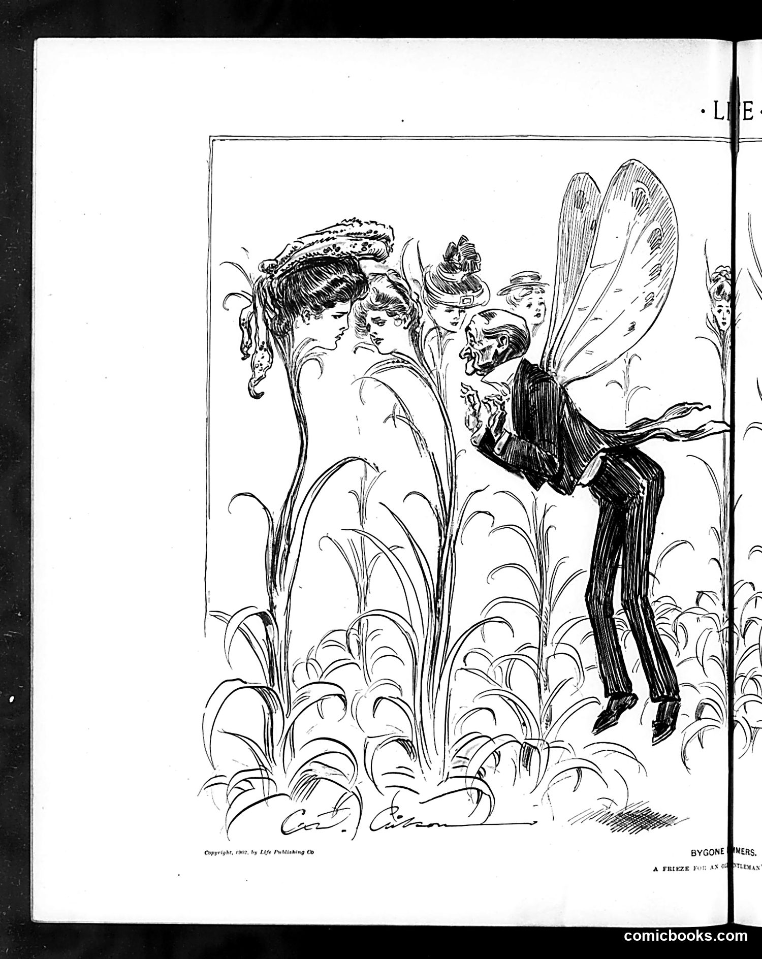 Life — November 13, 1902 — page 10 of 22