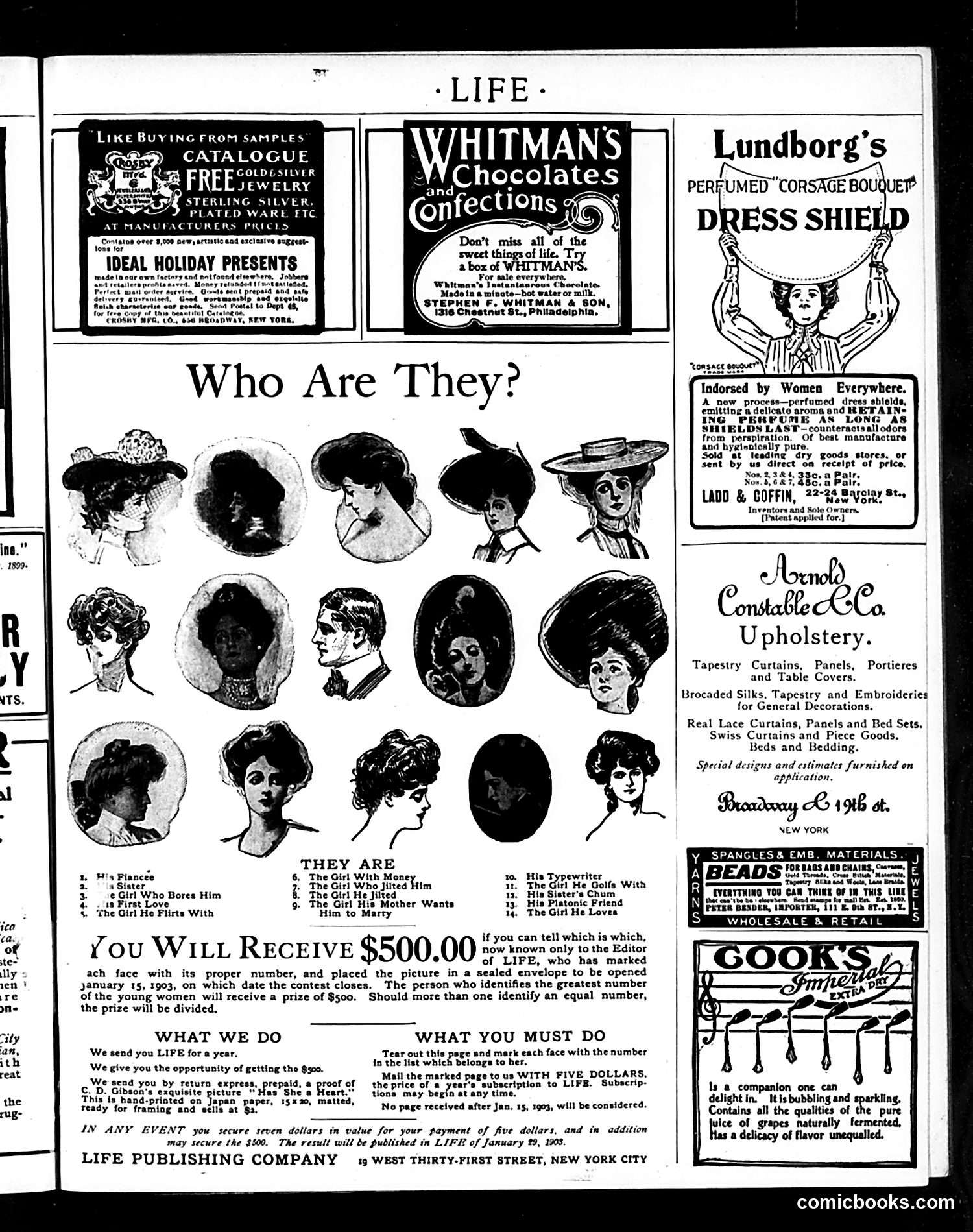 Life — November 13, 1902 — page 19 of 22
