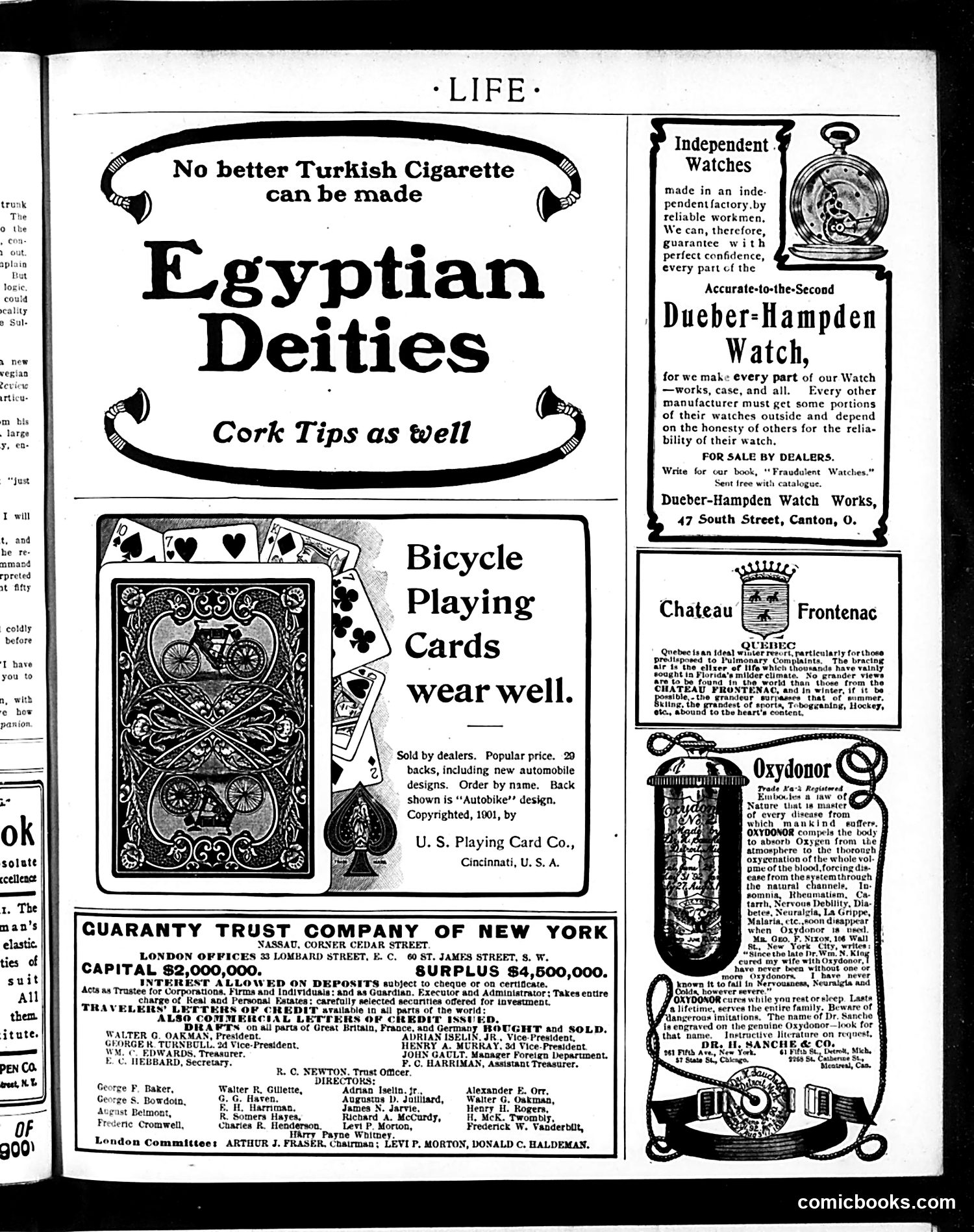 Life — November 20, 1902 — page 17 of 22