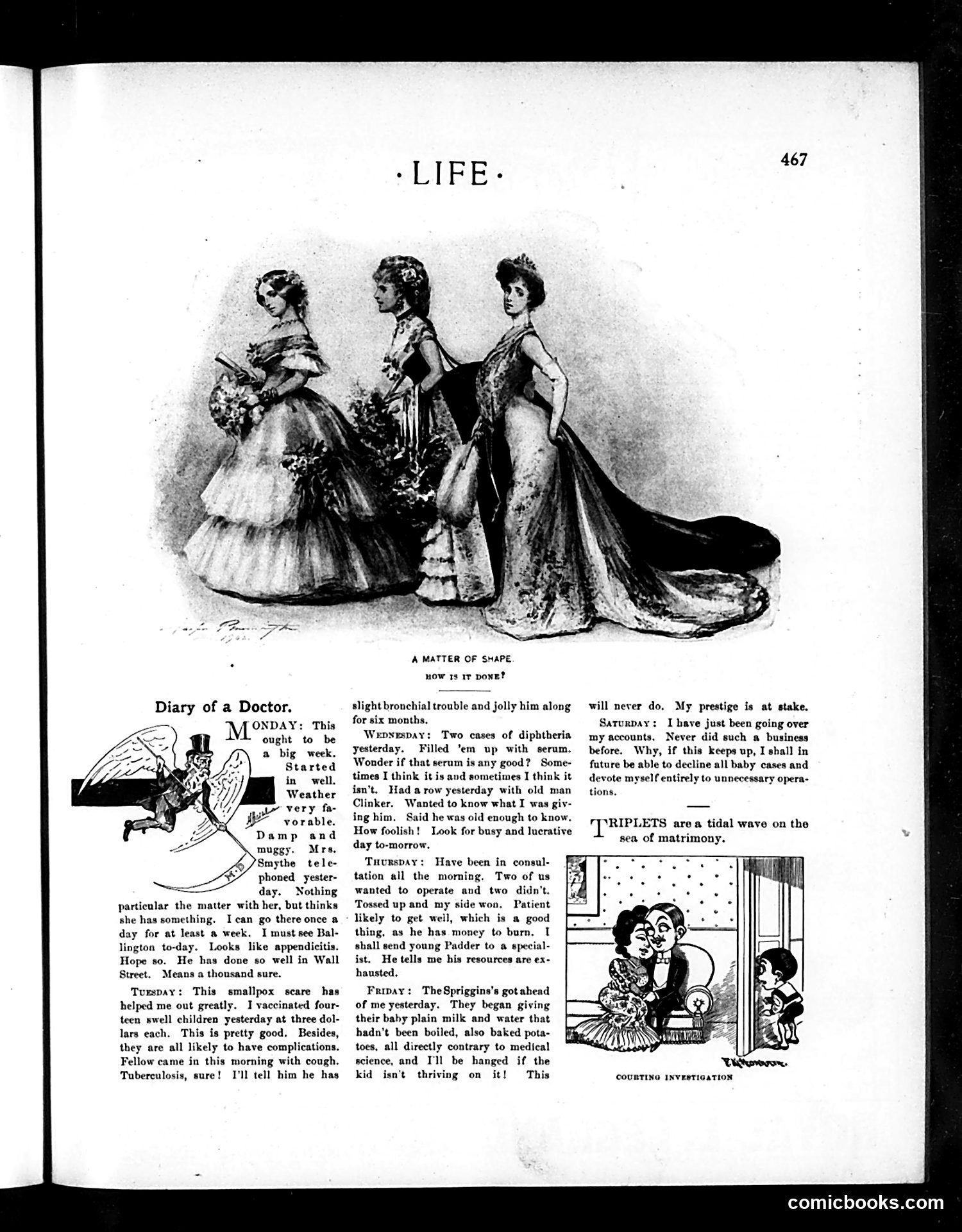 Life — November 27, 1902 — page 17 of 26
