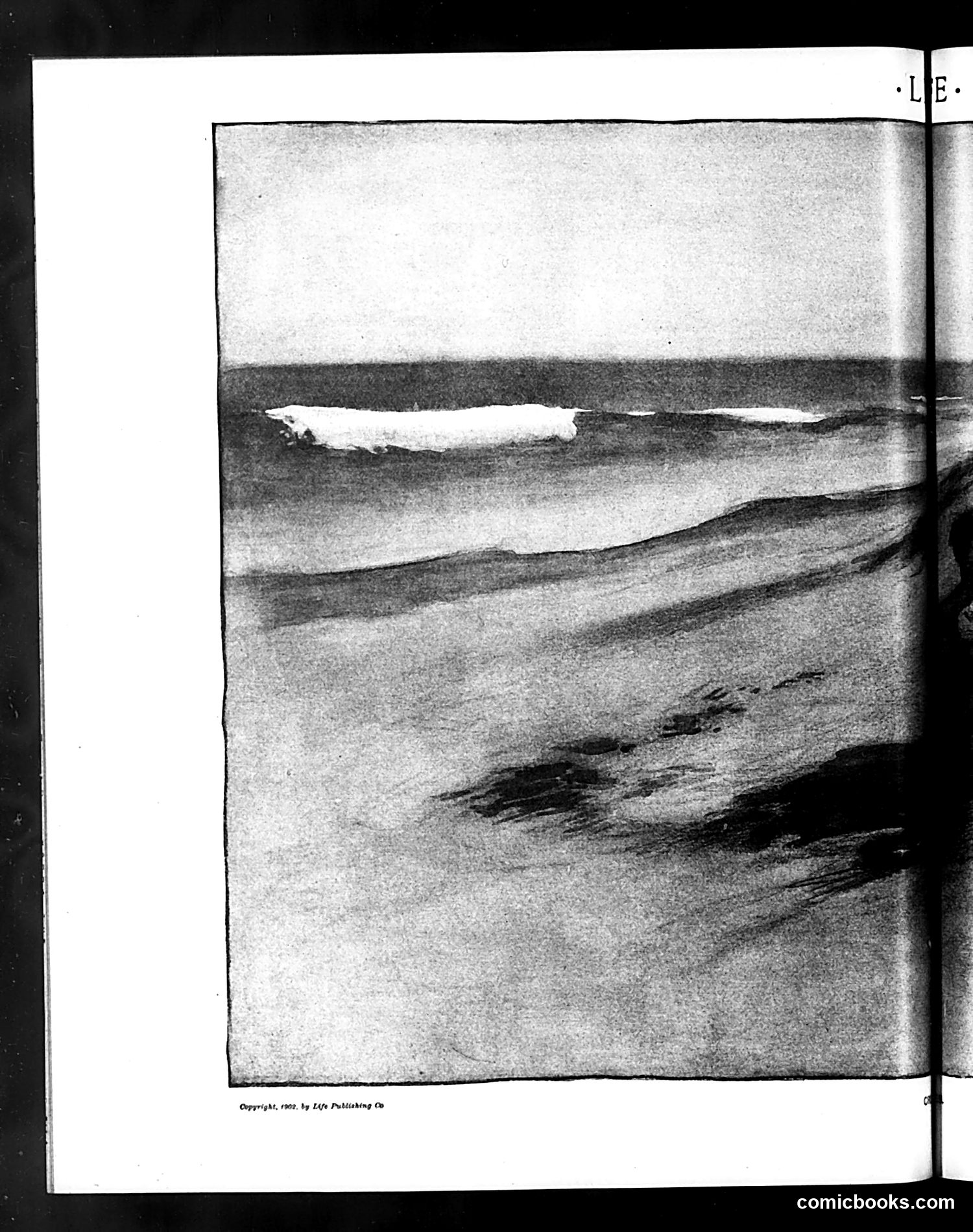 Life — December 11, 1902 — page 10 of 24