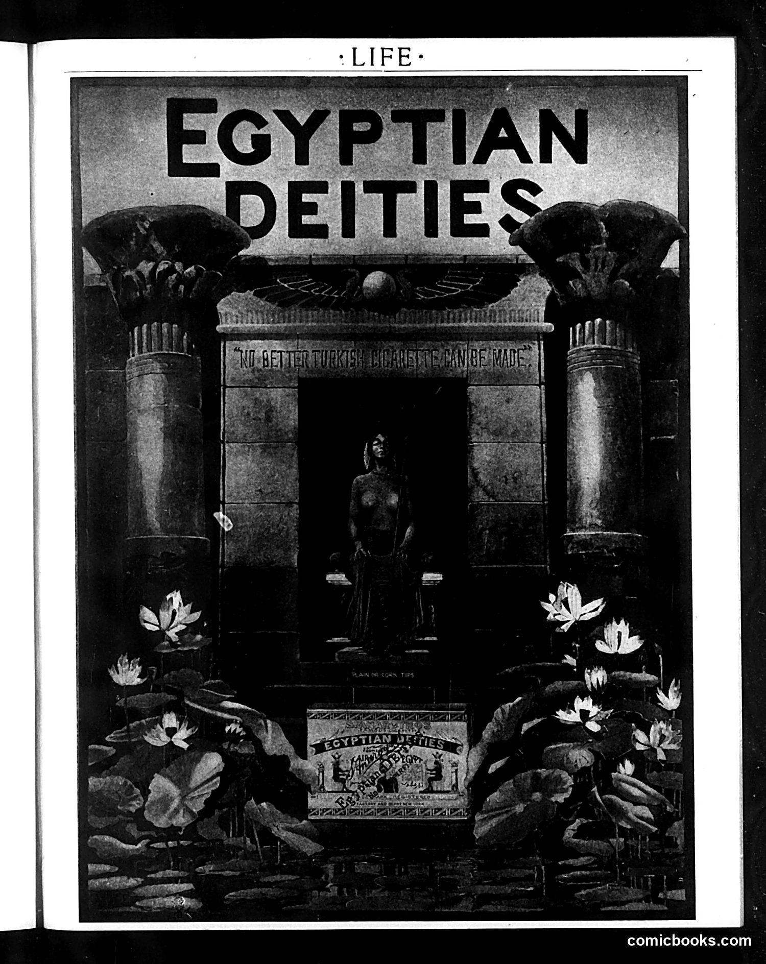 Life — December 25, 1902 — page 59 of 77