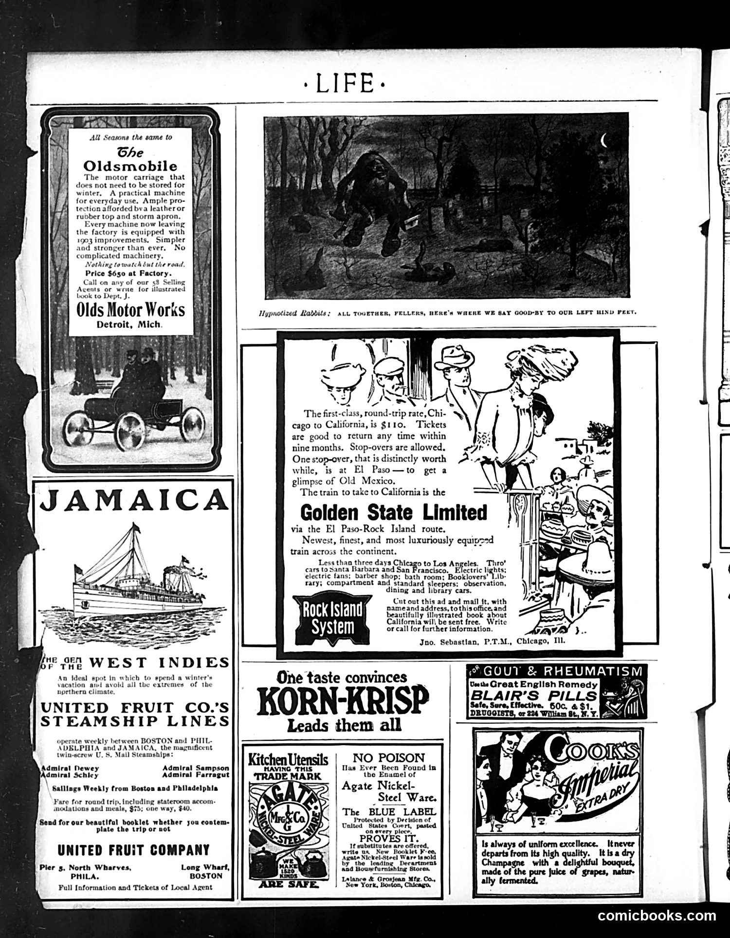 Life — January 1, 1903 — page 18 of 20