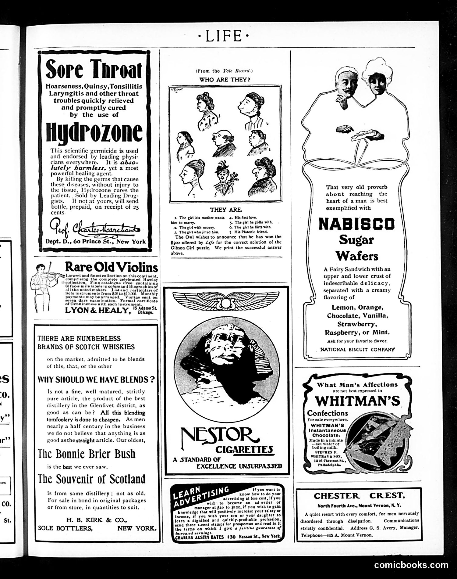 Life — January 8, 1903 — page 19 of 20