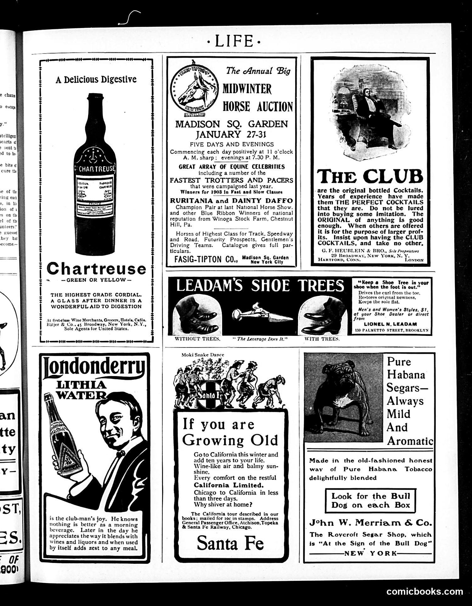 Life — January 22, 1903 — page 17 of 20