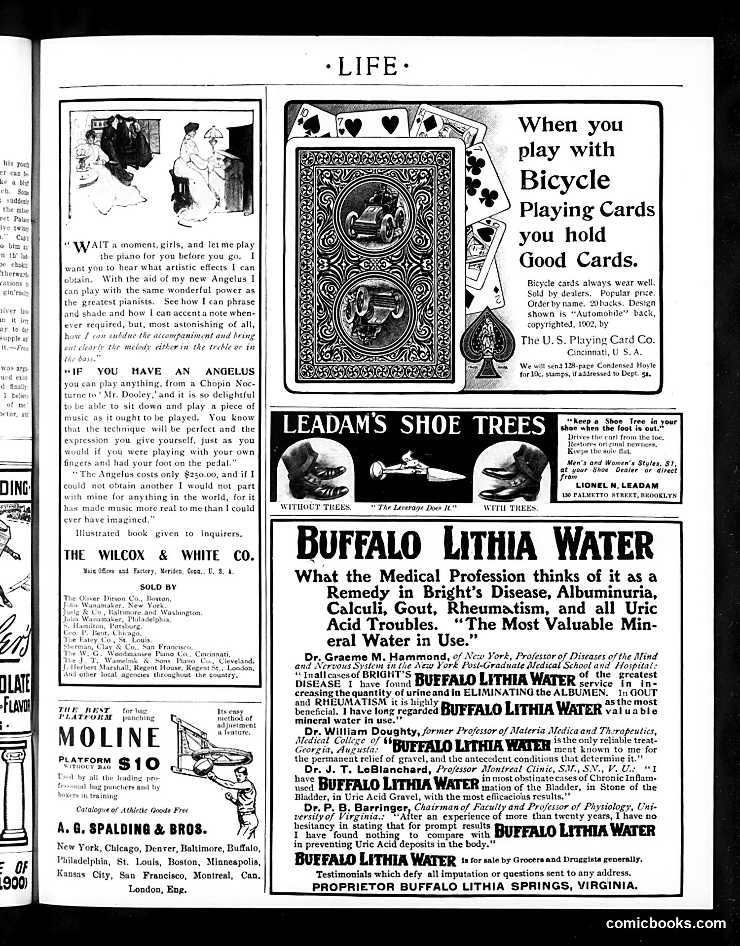 Life — January 29, 1903 — page 17 of 20