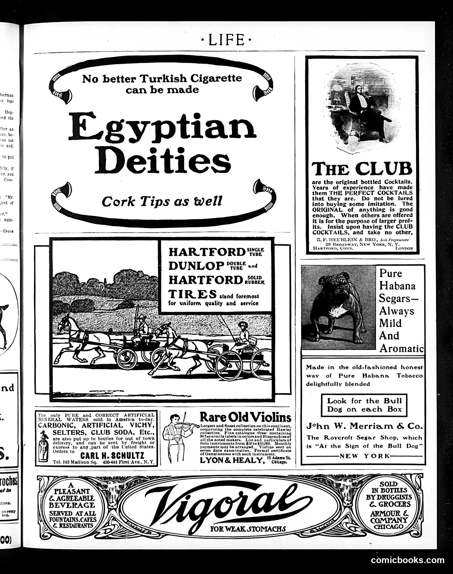 Life — February 19, 1903 — page 19 of 24