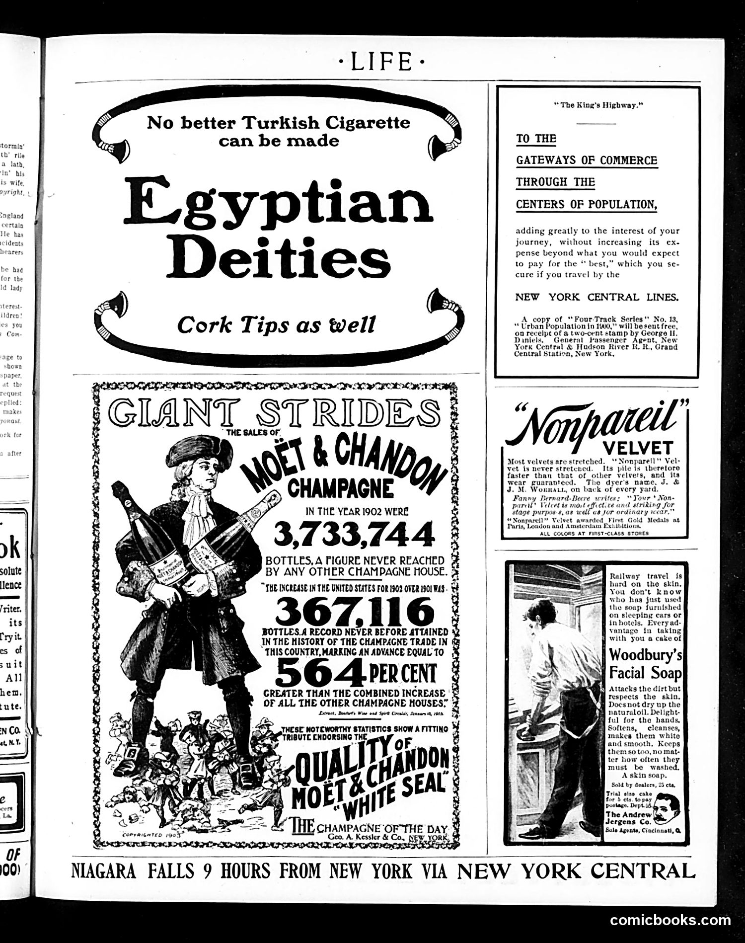 Life — February 26, 1903 — page 19 of 24