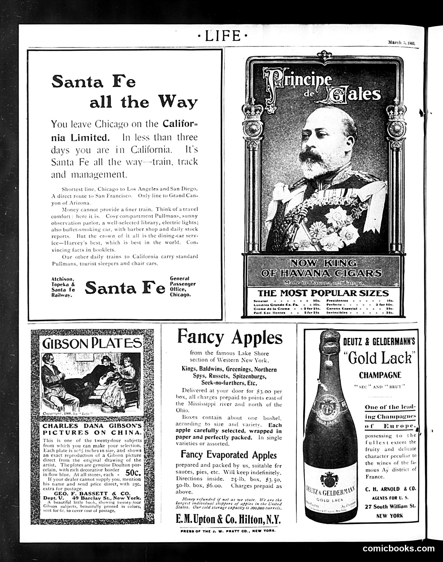Life — March 5, 1903 — page 22 of 22