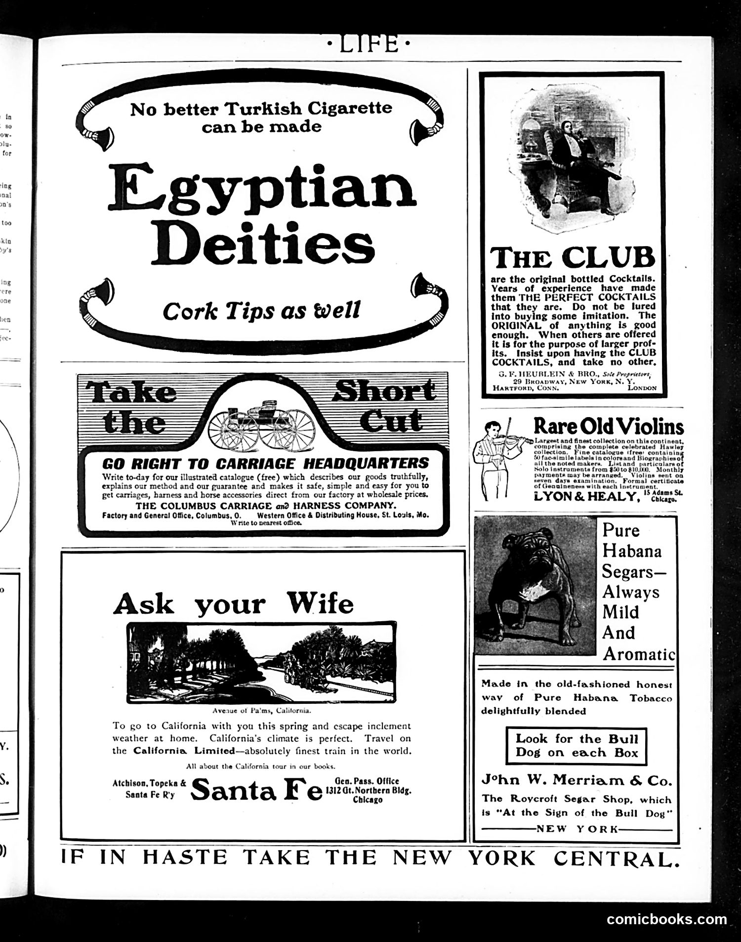 Life — March 19, 1903 — page 17 of 22