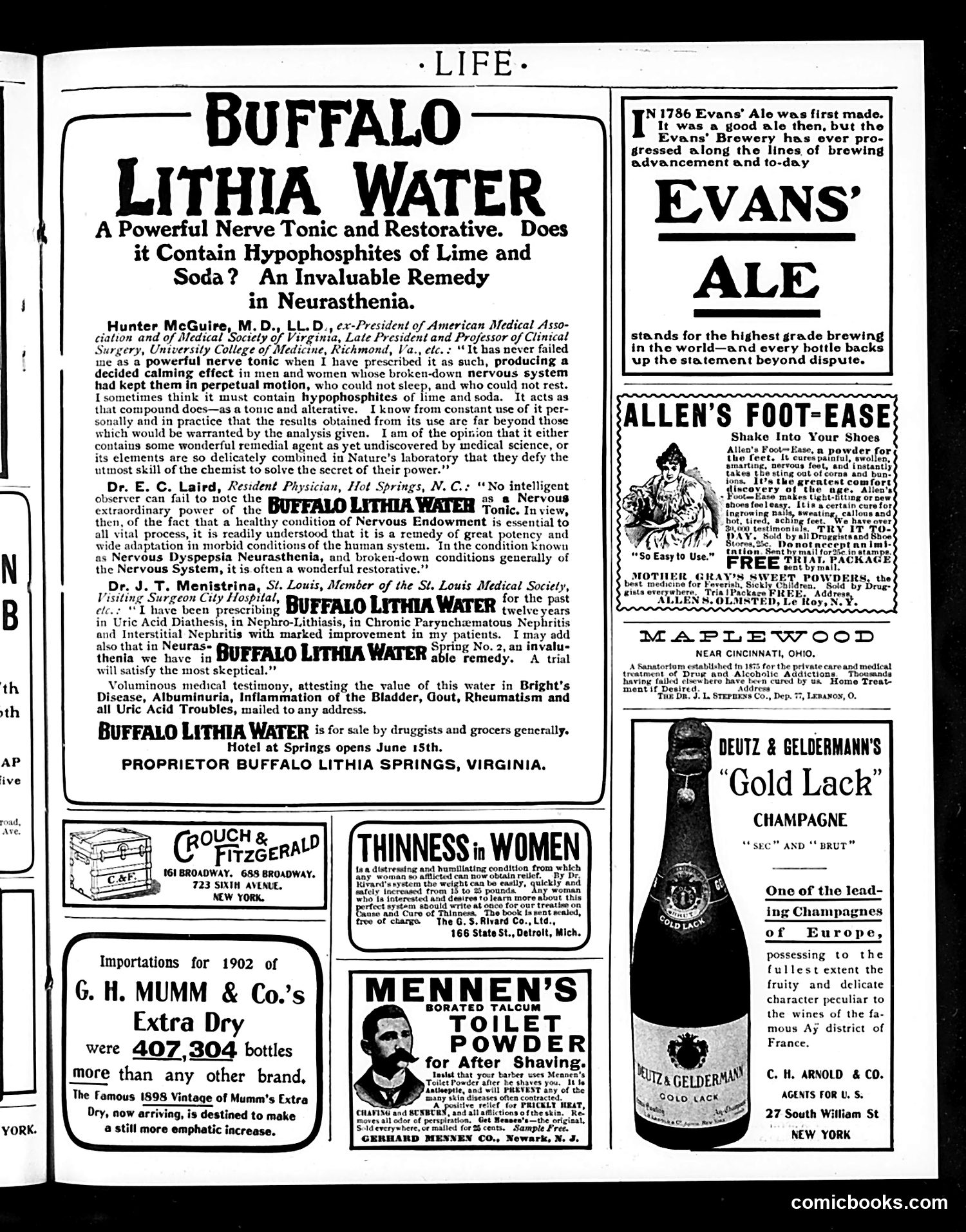 Life — April 16, 1903 — page 19 of 22