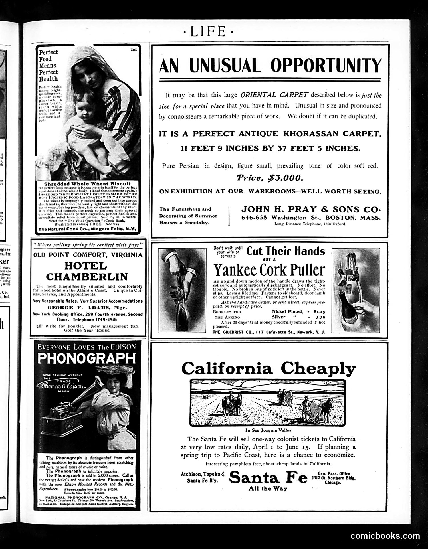 Life — May 7, 1903 — page 33 of 36