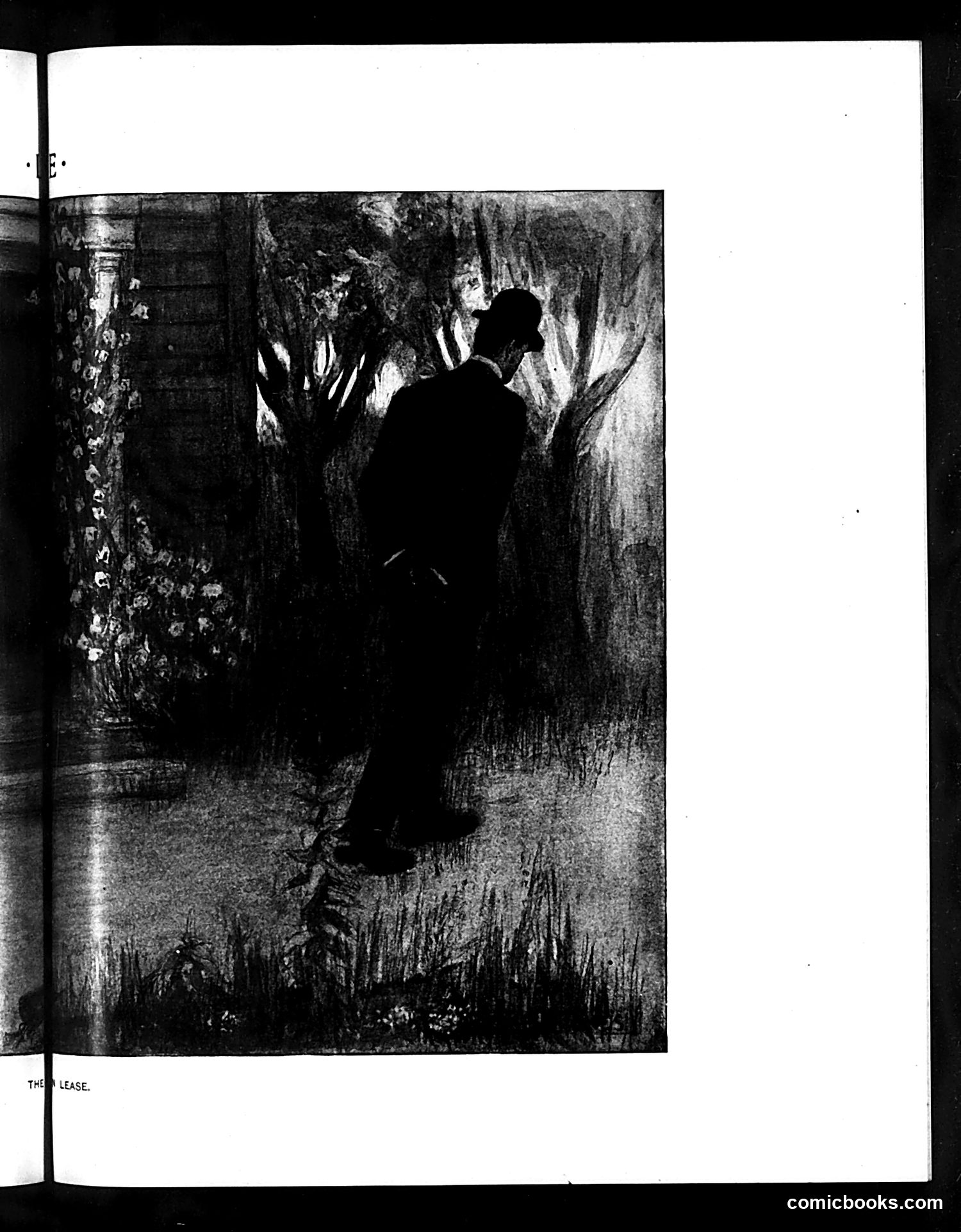 Life — May 21, 1903 — page 13 of 24